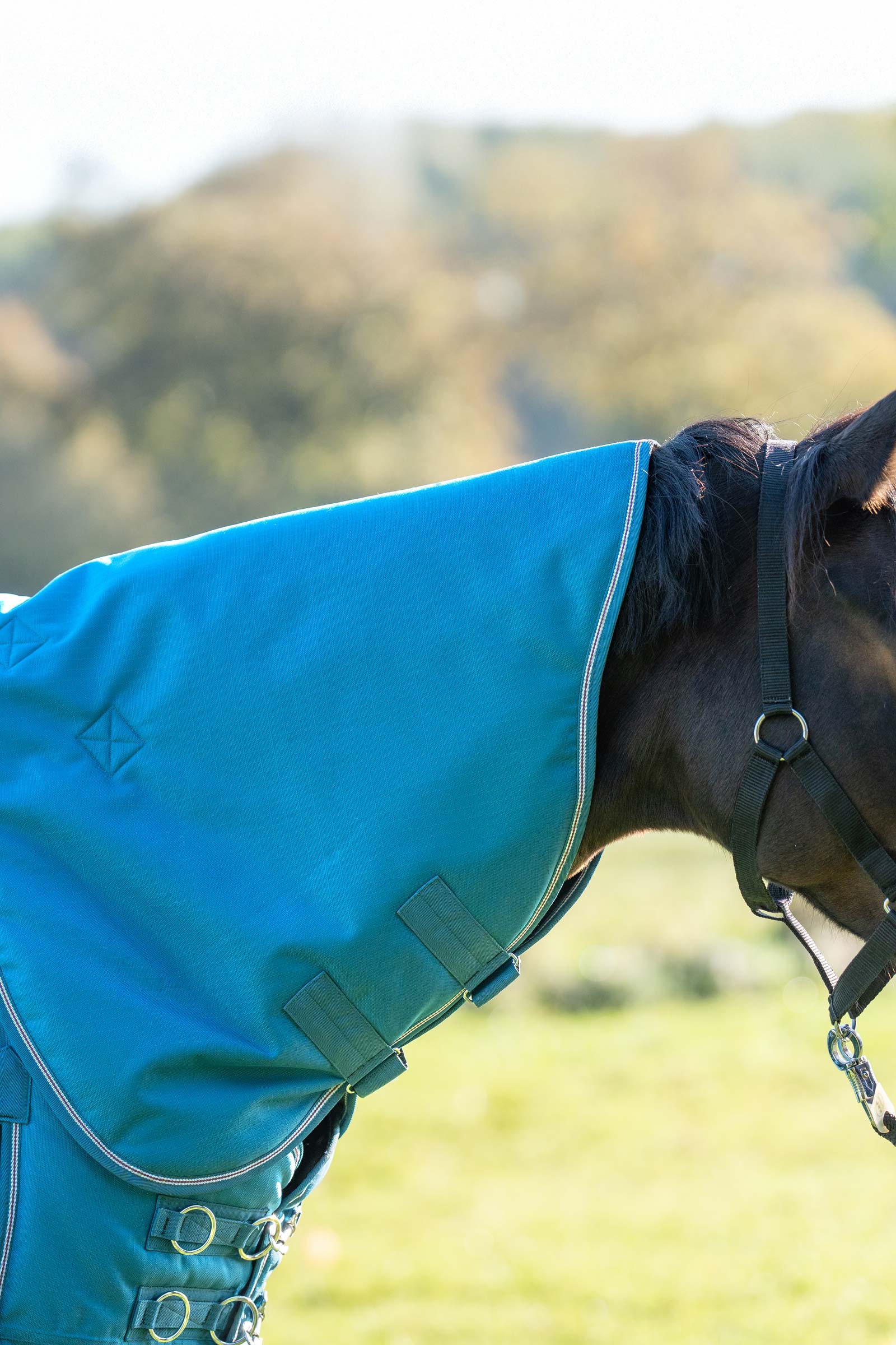 Kavalkade hals for Alaska IV, 100 g