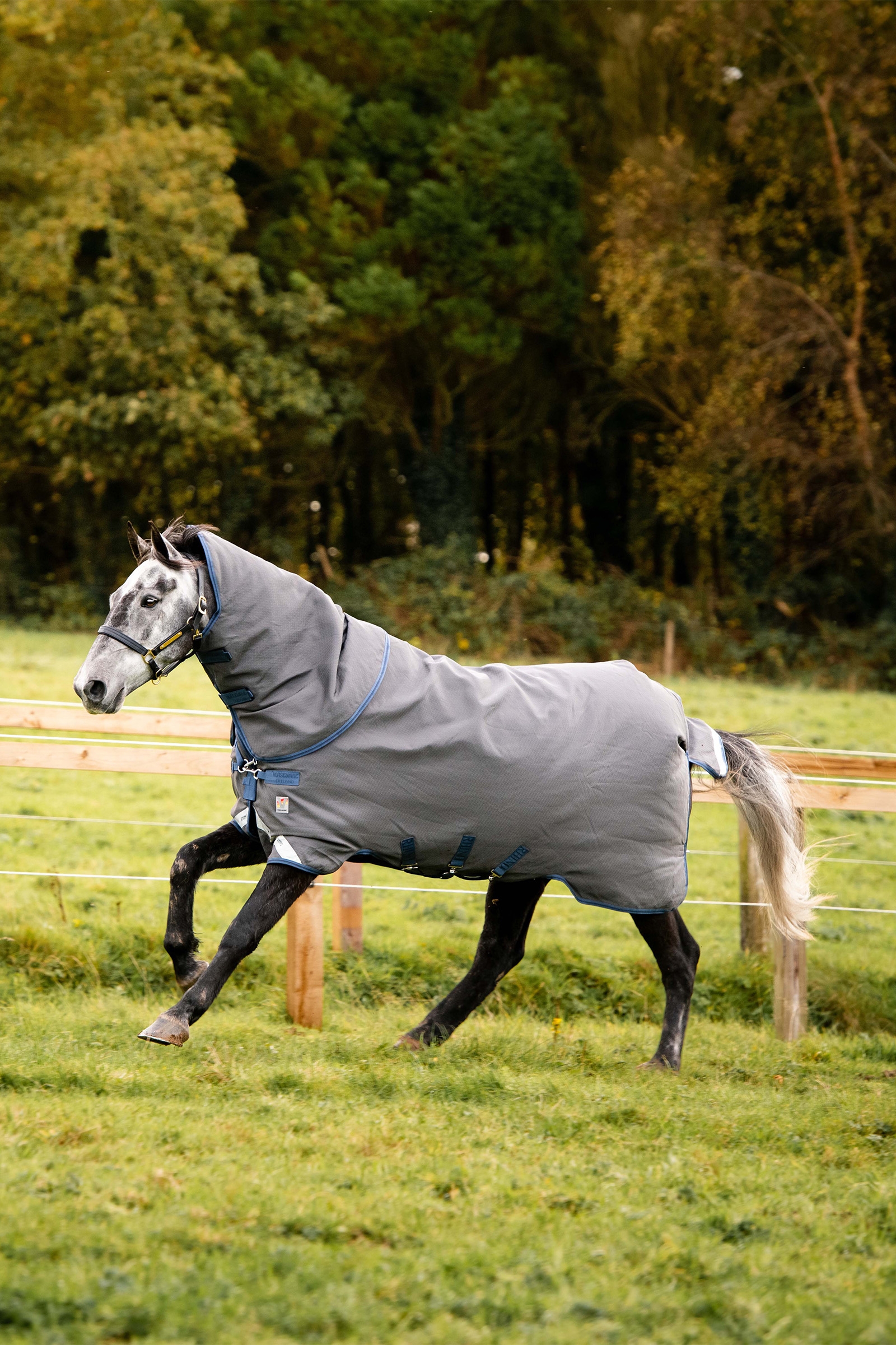 Horseware Rhino Plus HexSTOP Vari-Layer Beitedekken, 100g
