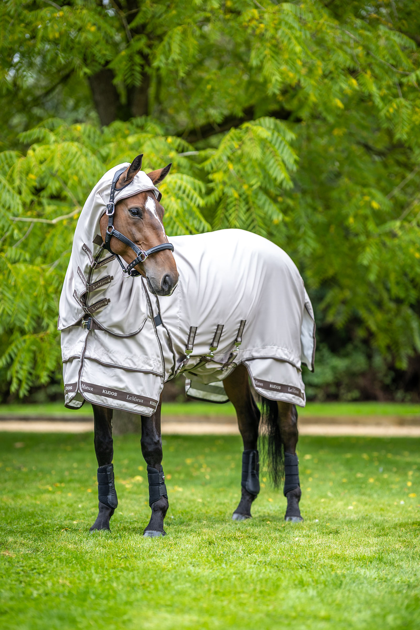 LeMieux Kudos eksemdekken