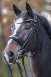 Kavalkade Fleur Double Bridle