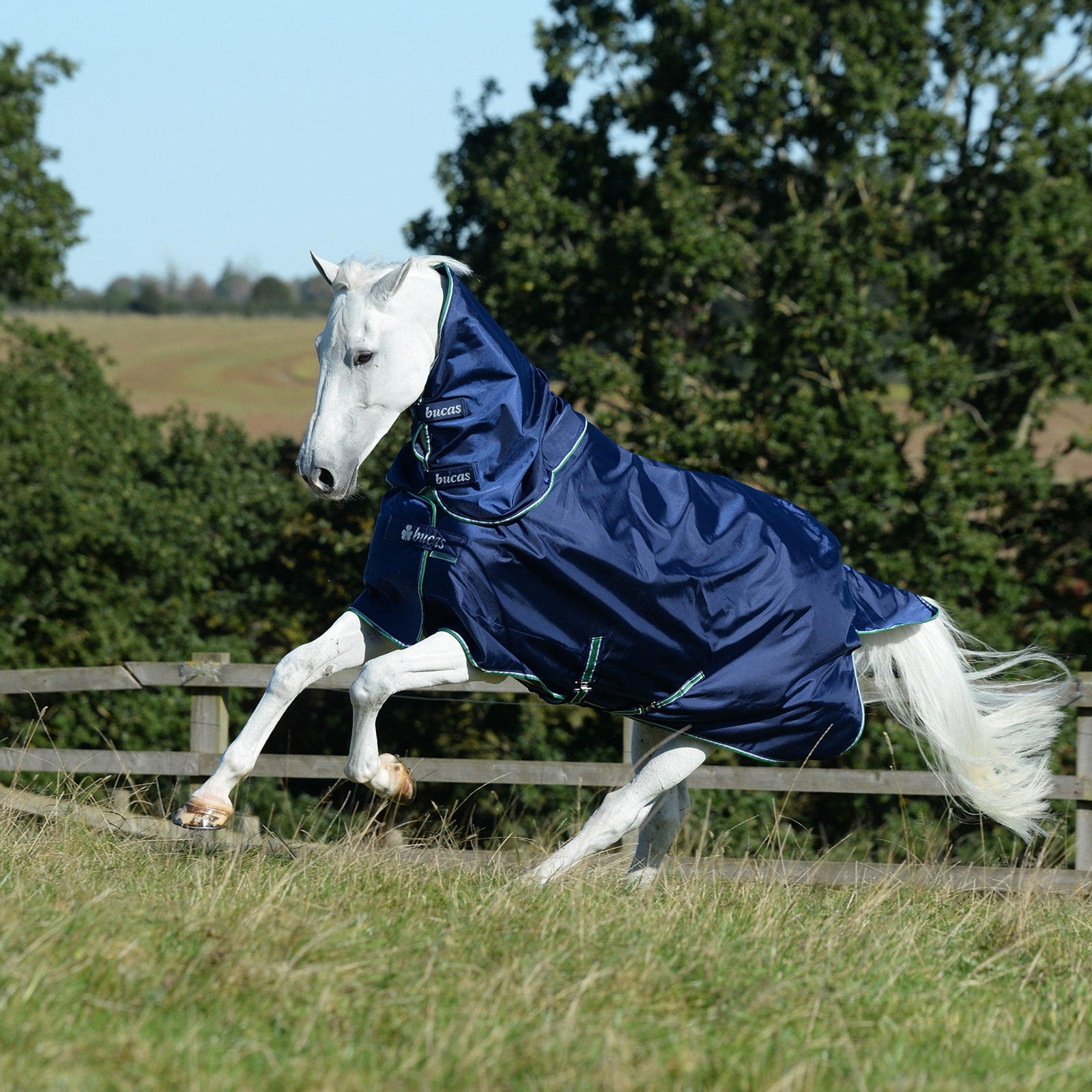 Bucas Smartex Hals 300