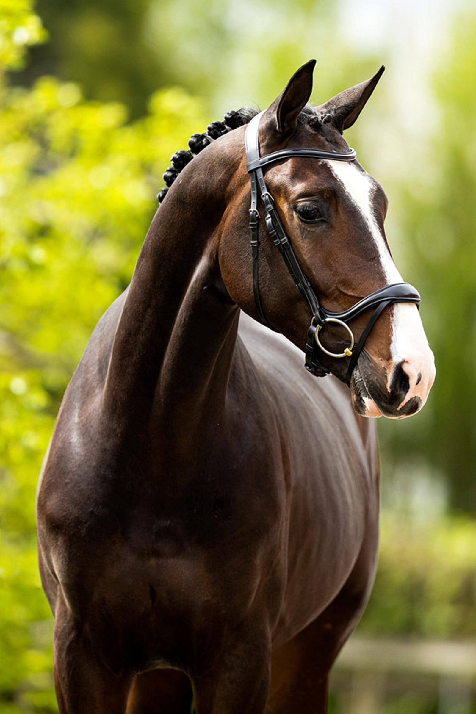 BR Longridge hodelag