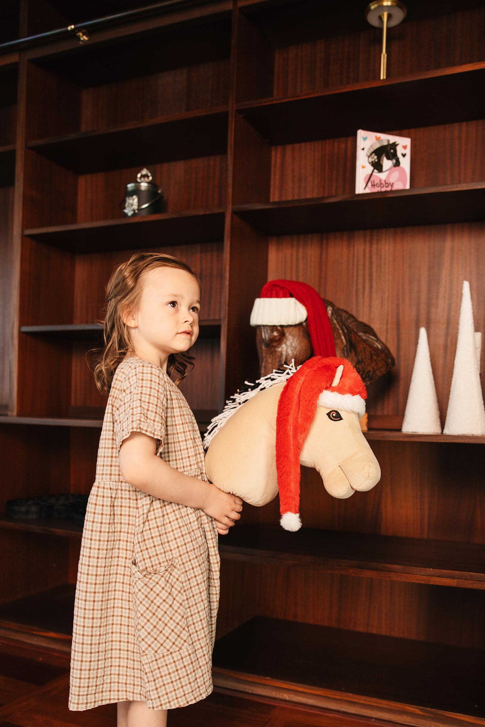 My Hobby Horse julelue