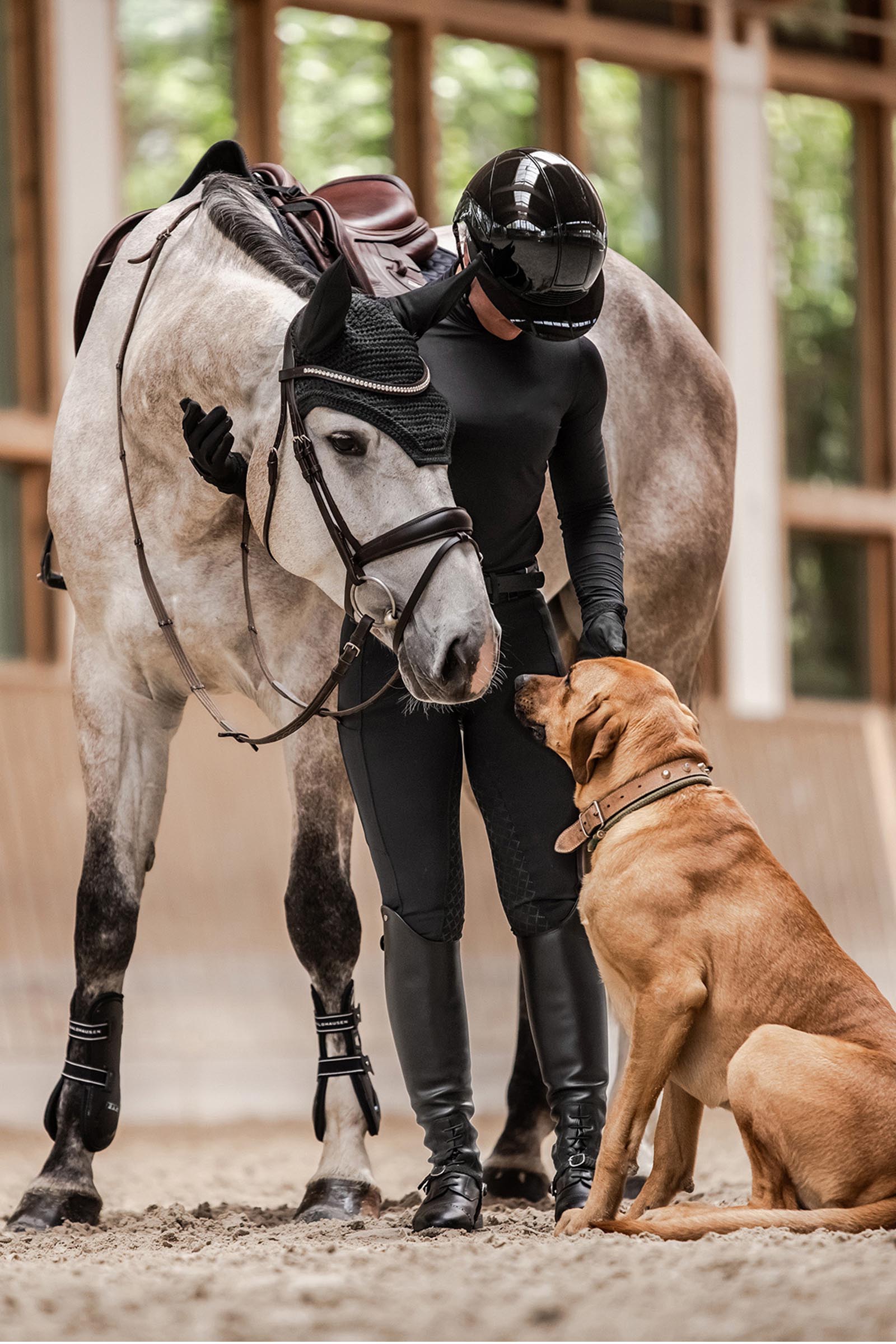 SWING H24 Lady Glossy ridehjelm