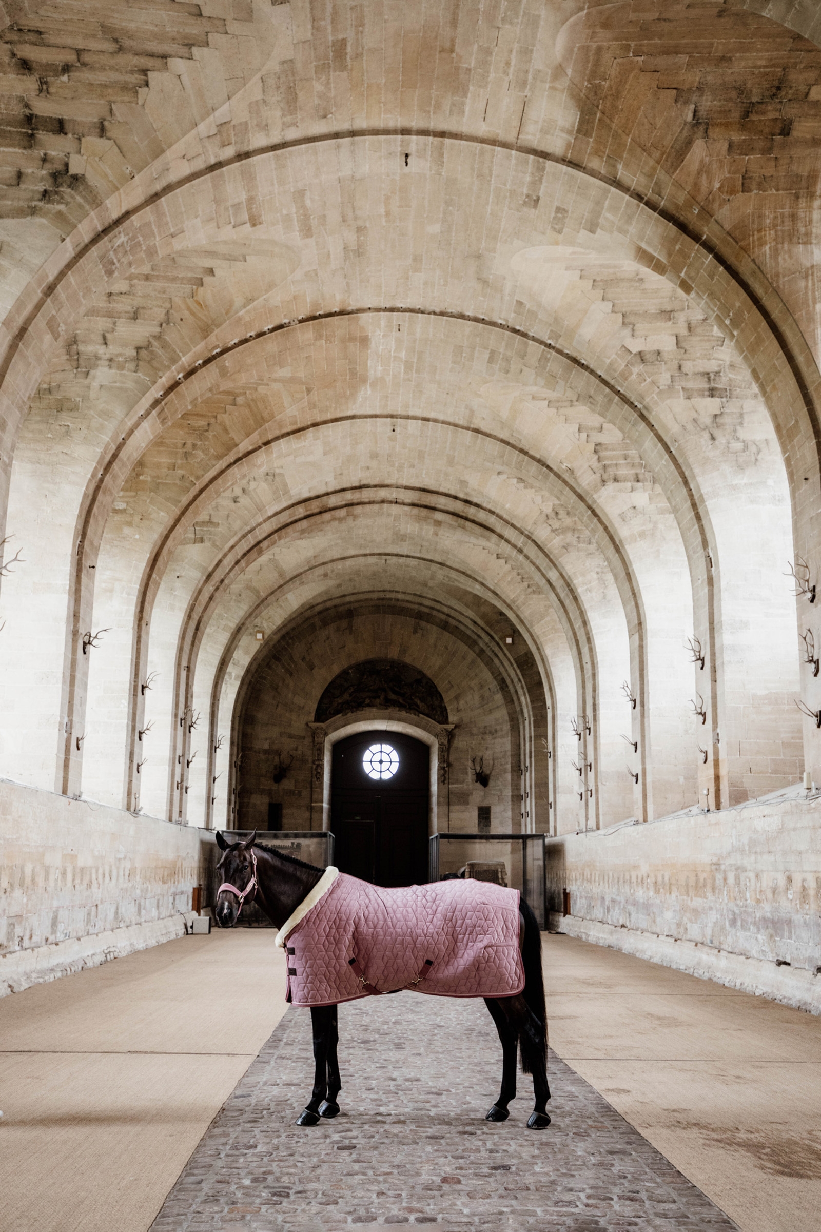 Kentucky Horsewear  Velvet stevnedekken, 160 gram