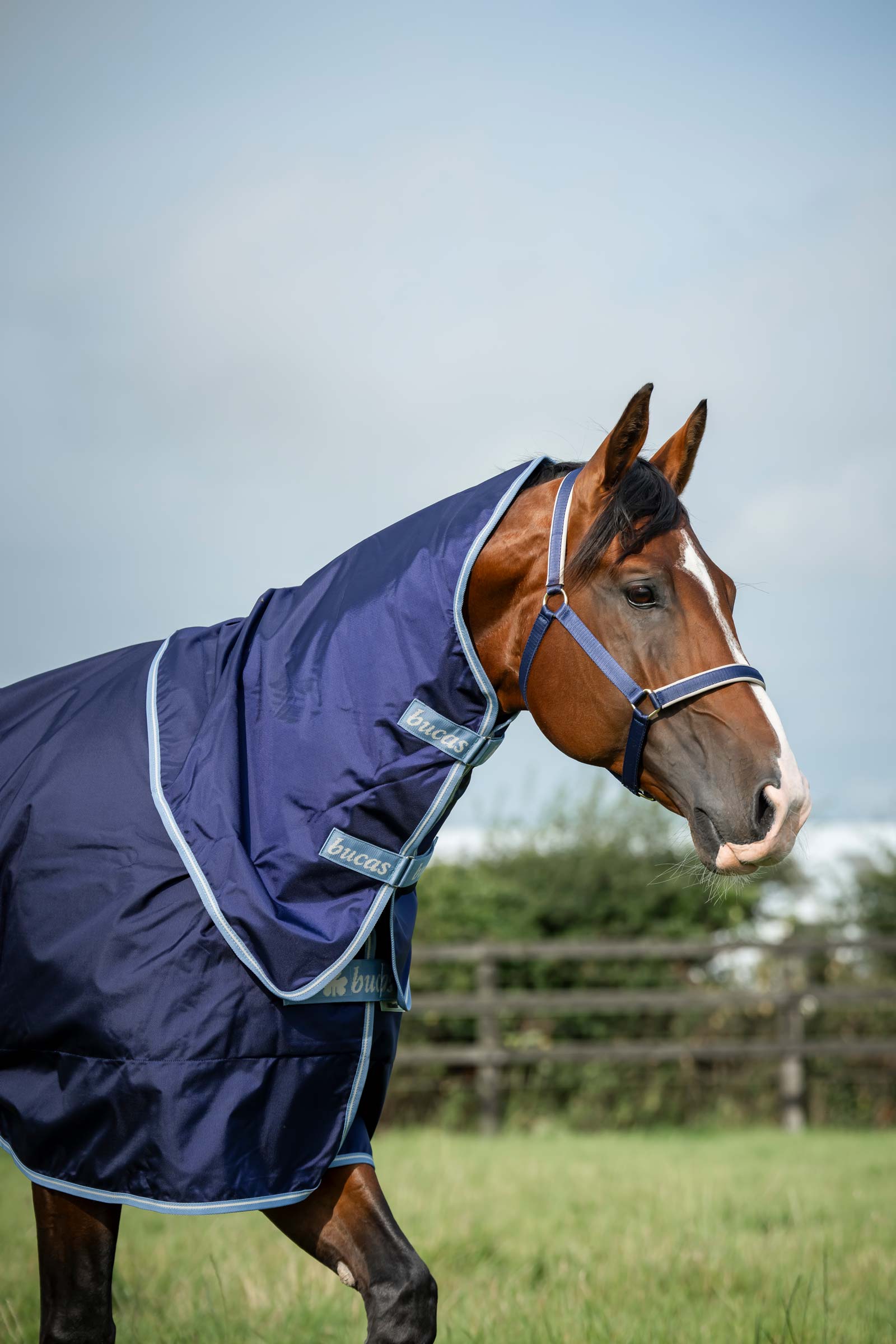 Bucas Atlantic Exclusive Teppe og Hals, 150 g