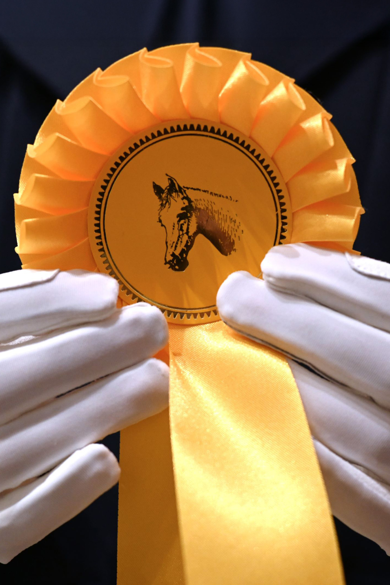 RSL Amalia ridehansker for barn