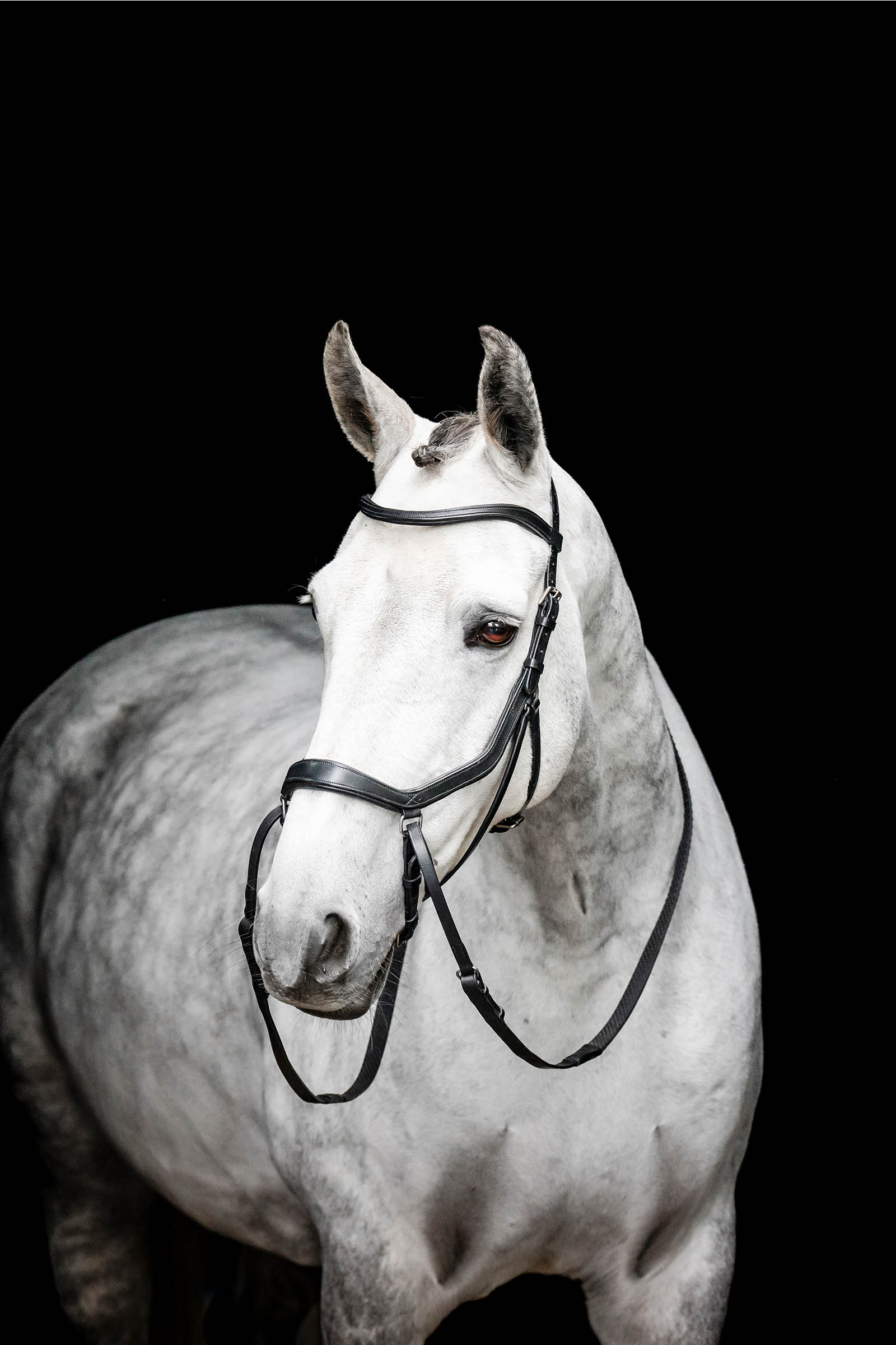 Horseware Micklem bittløst hodelag