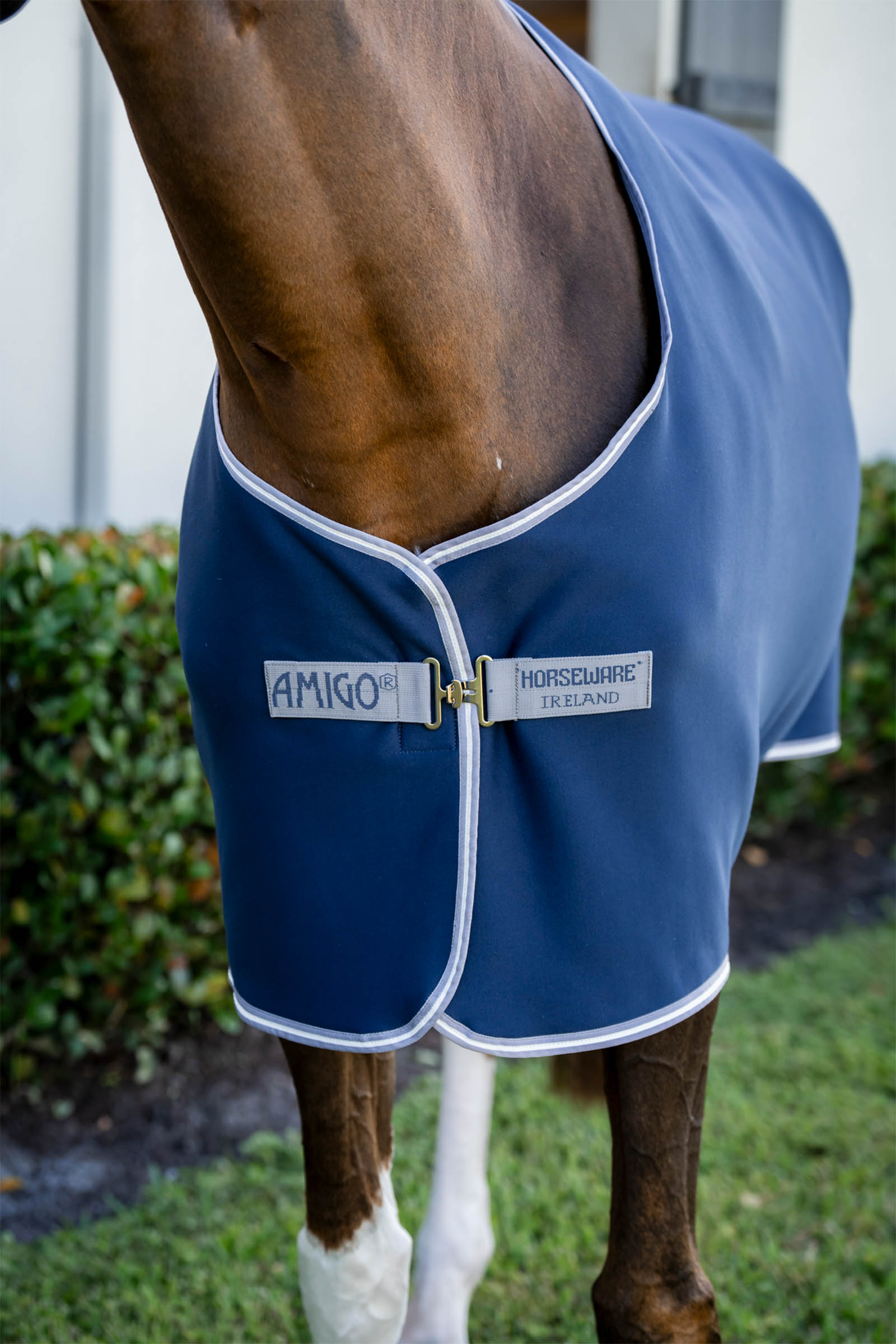 Horseware Amigo jersey svettedekken
