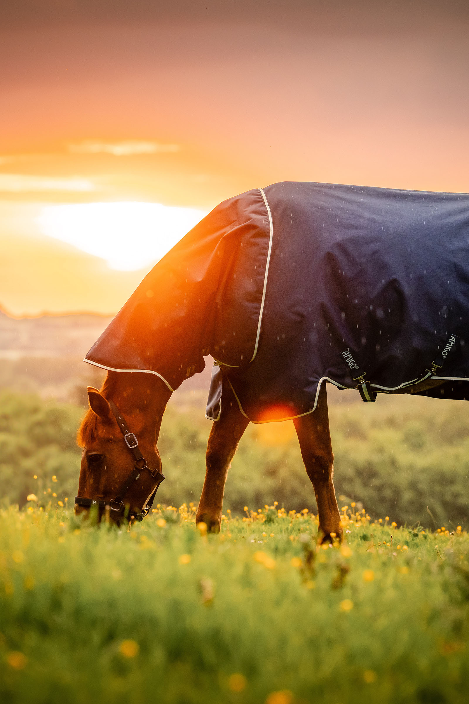 Horseware Amigo Ripstop 900D Plus Turnout Rug With Detachable Neck, 0 g