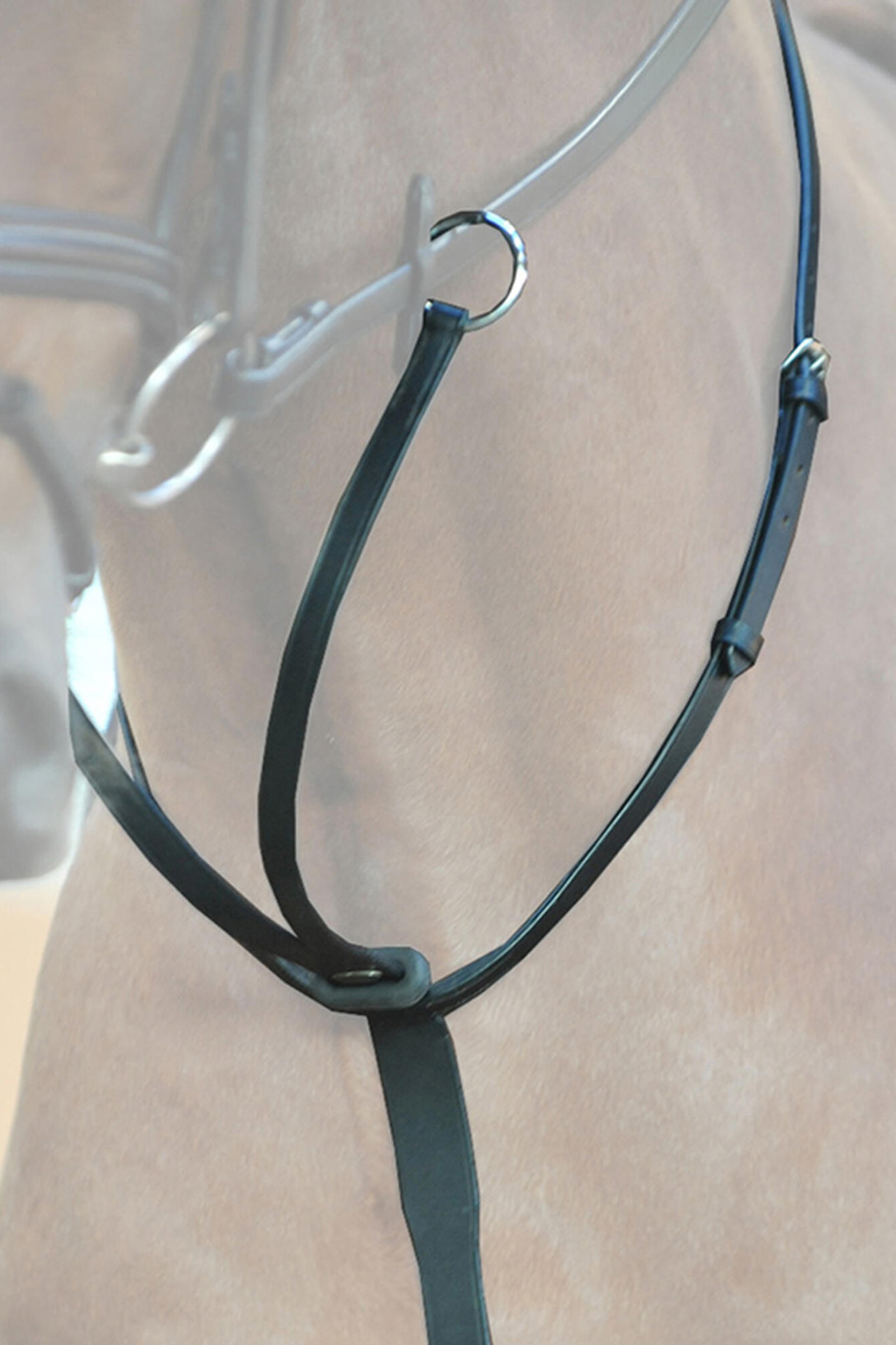 Kavalkade Ecoline martingal med stoppere