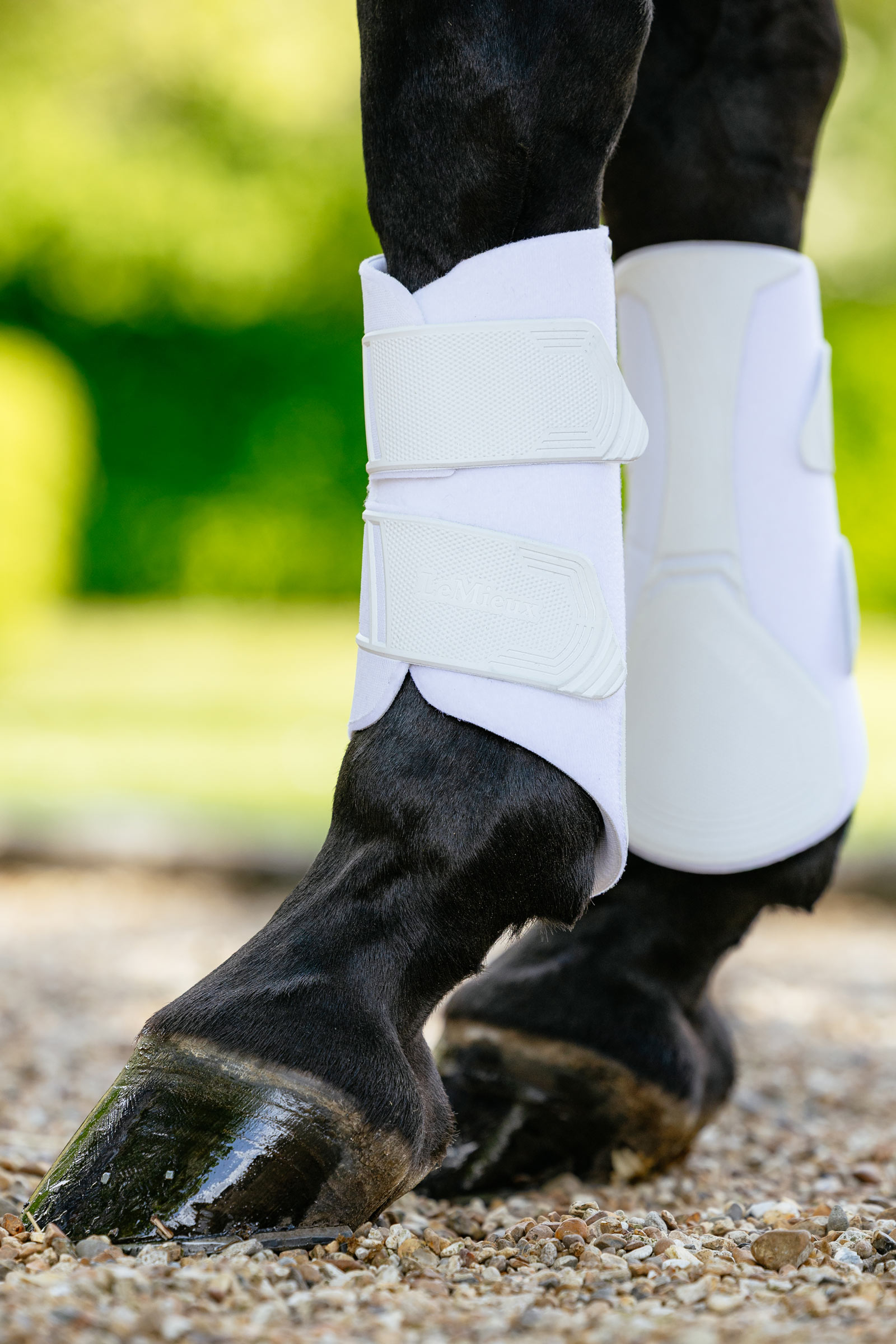 LeMieux Technical stryksokker