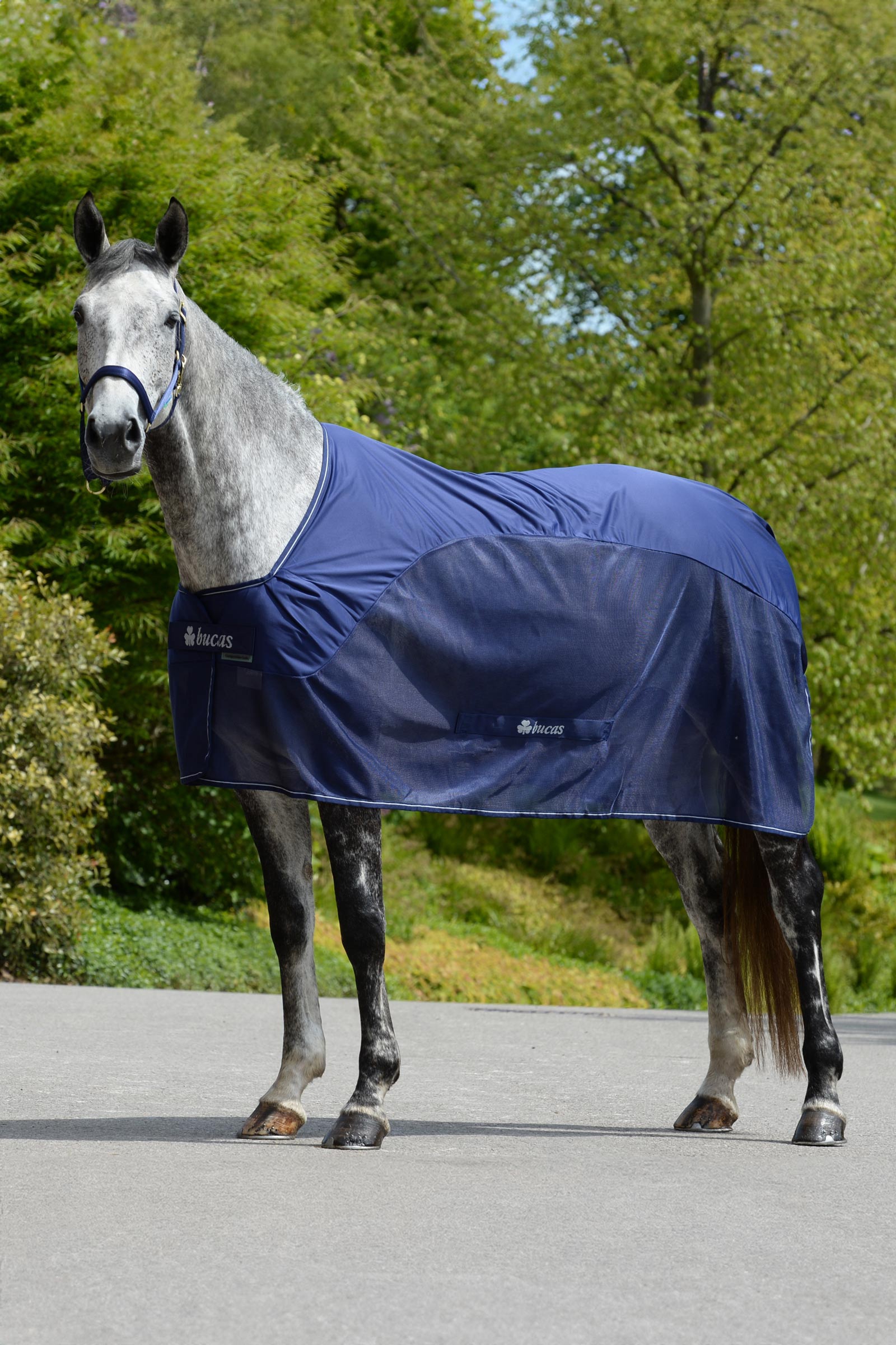 Bucas Competition Svettedekken