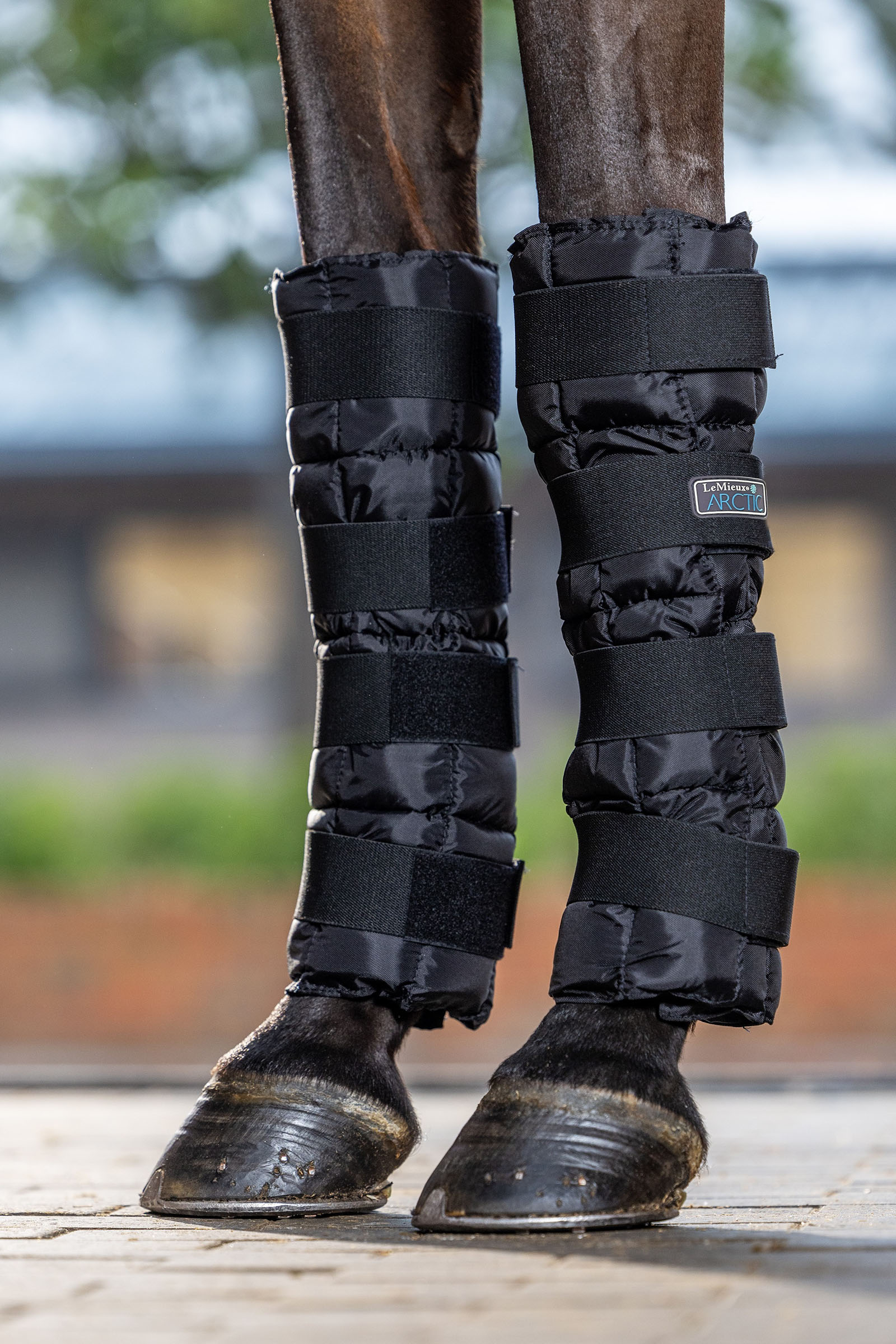 LeMieux Arctic Ice kj&oslash;legamasjer (par)