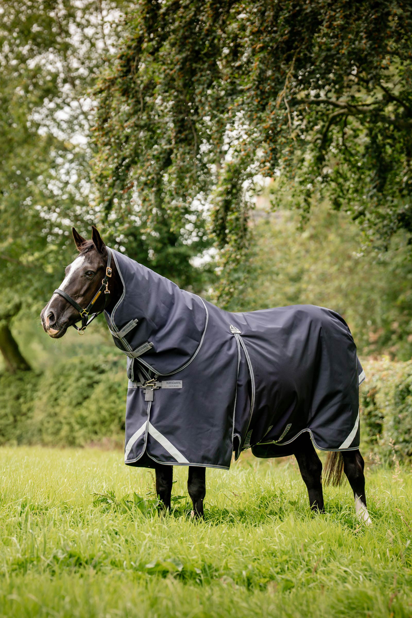 Horseware Rambo Optimo Plus Budle Beitedekken (med 200g Liner)
