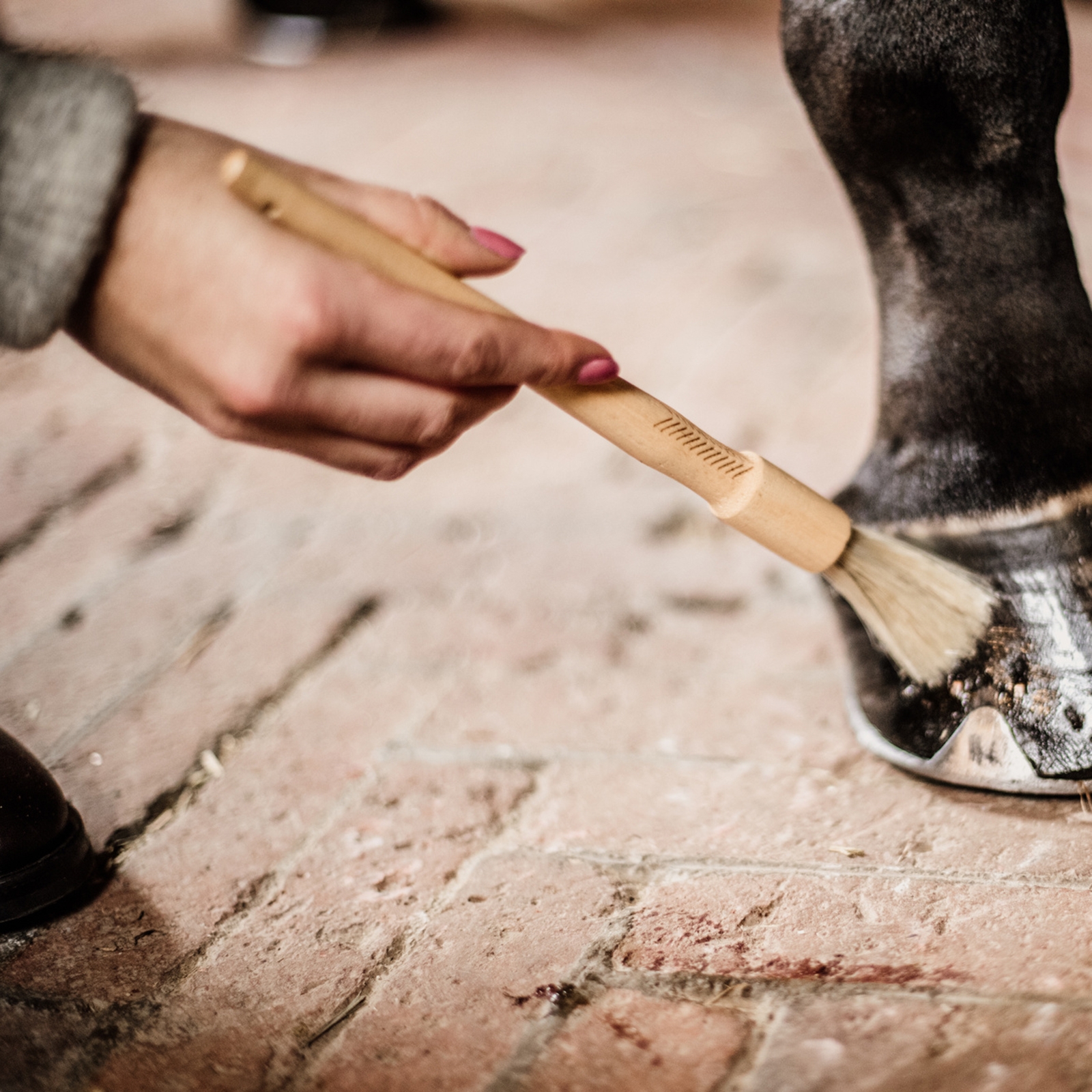 Grooming Deluxe Hoof Pencil