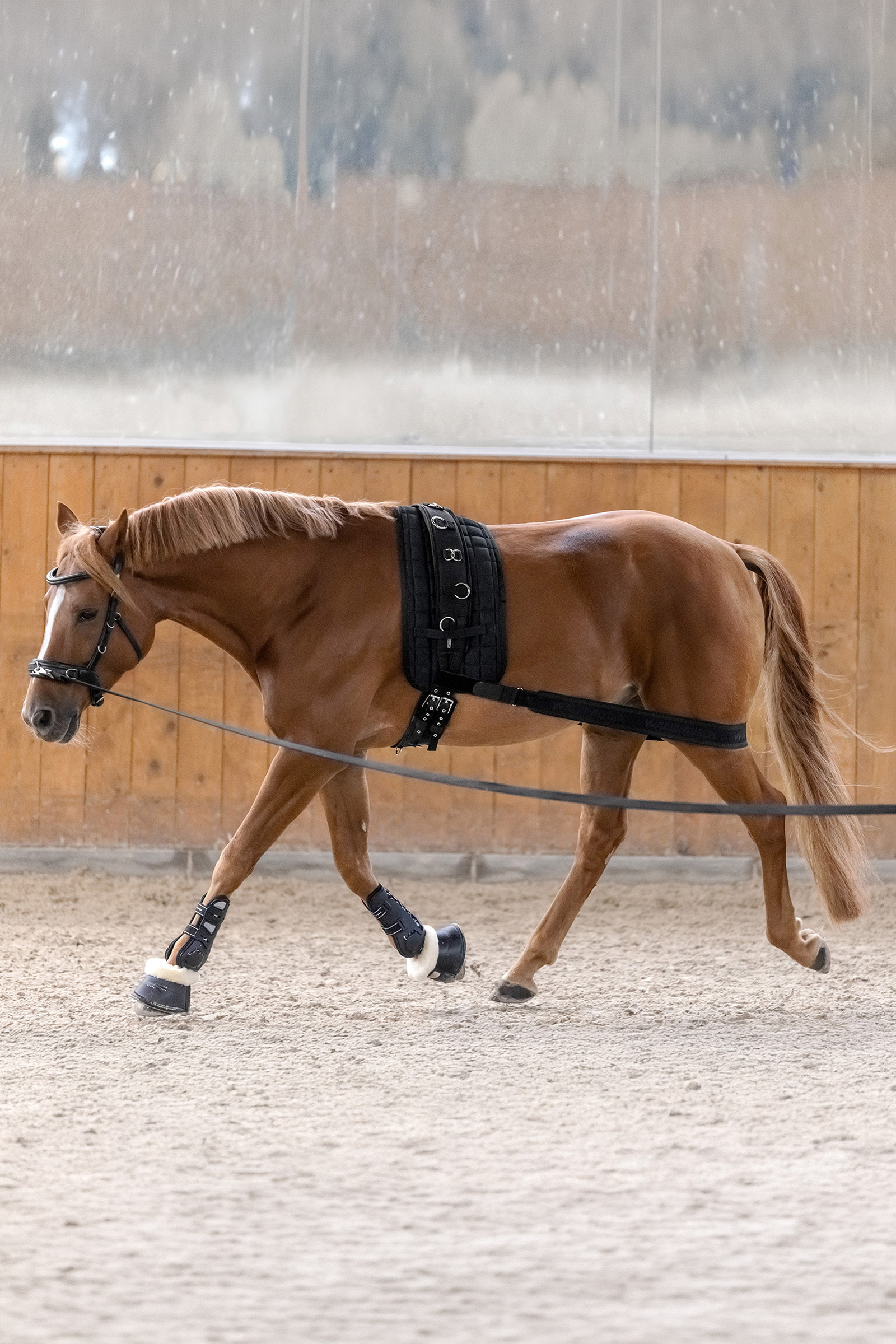 Waldhausen bodybandasje for aktivering av bakparten