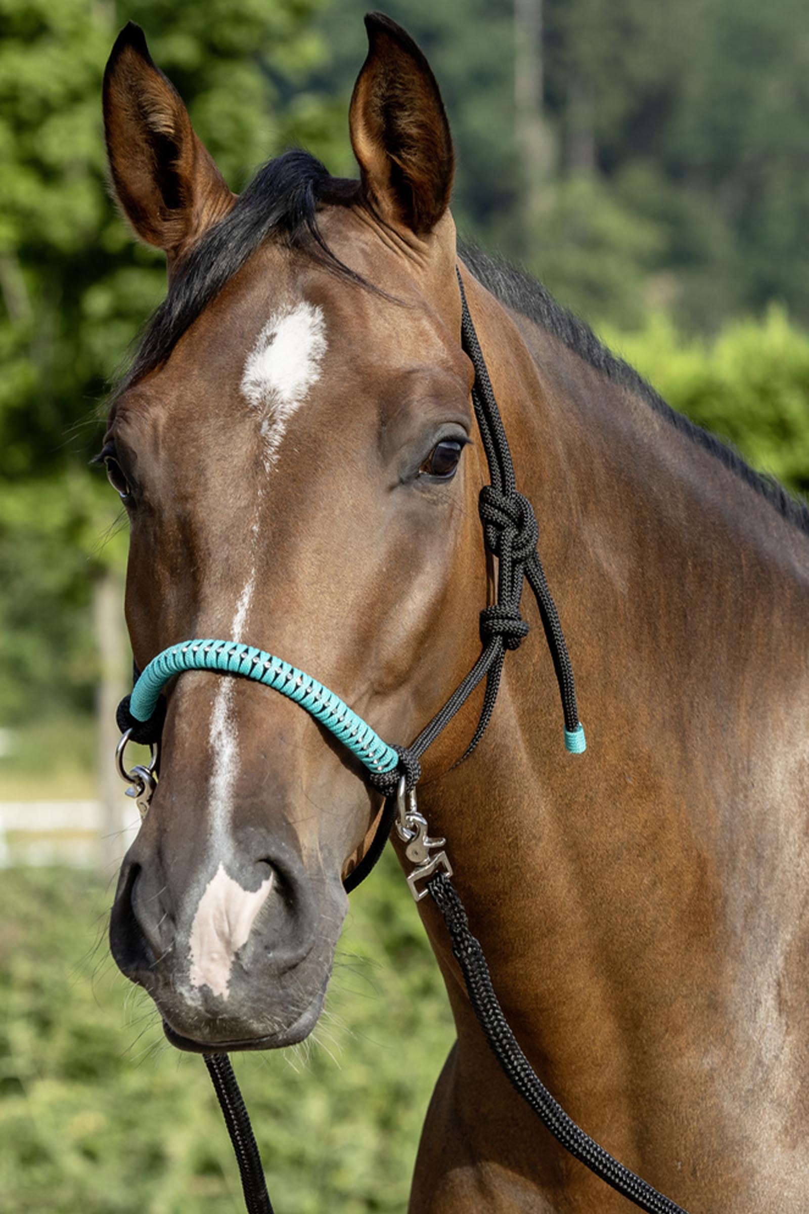 USG taugrime med t&oslash;yler