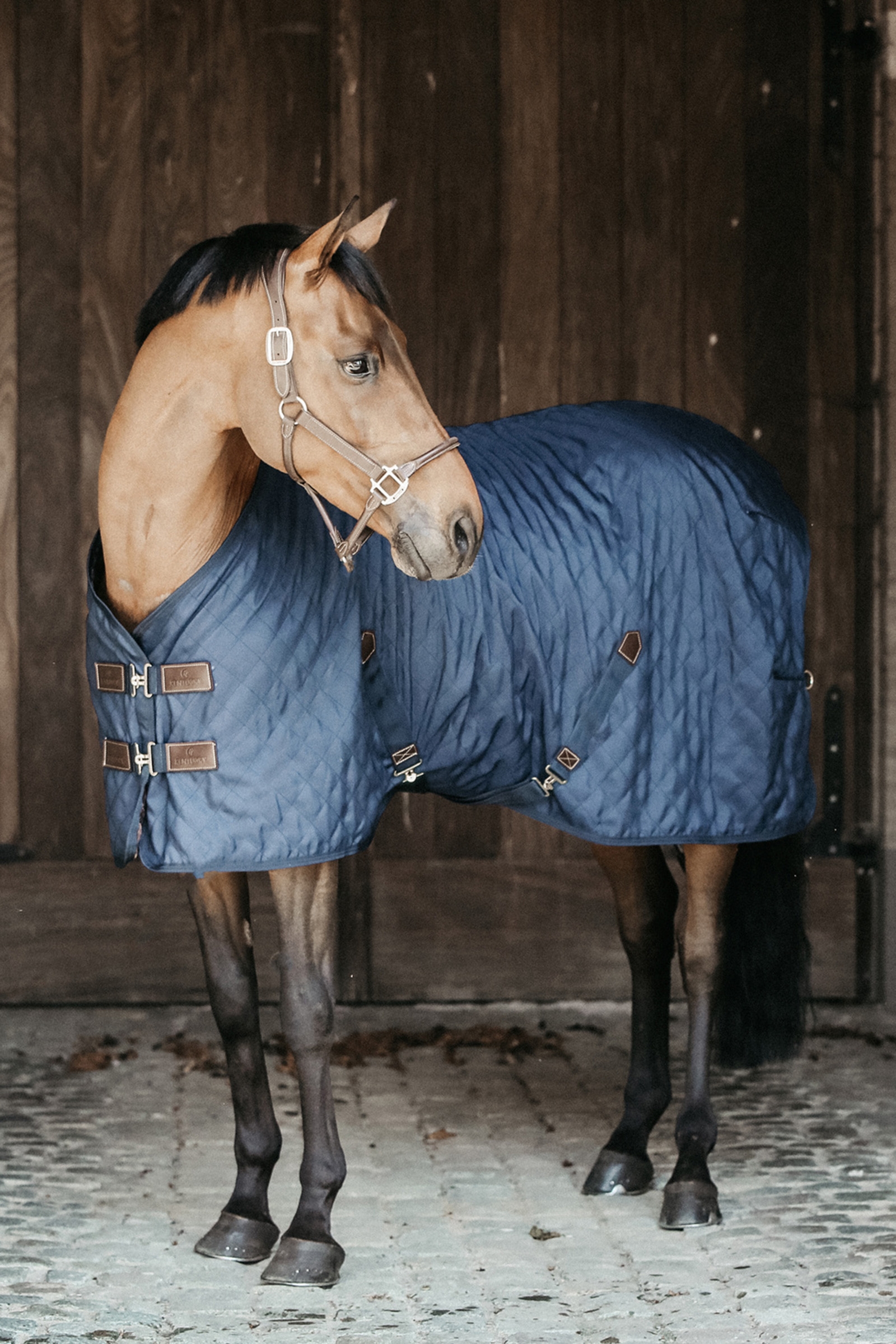 DB/AB Kentucky Horsewear stable rug 0g