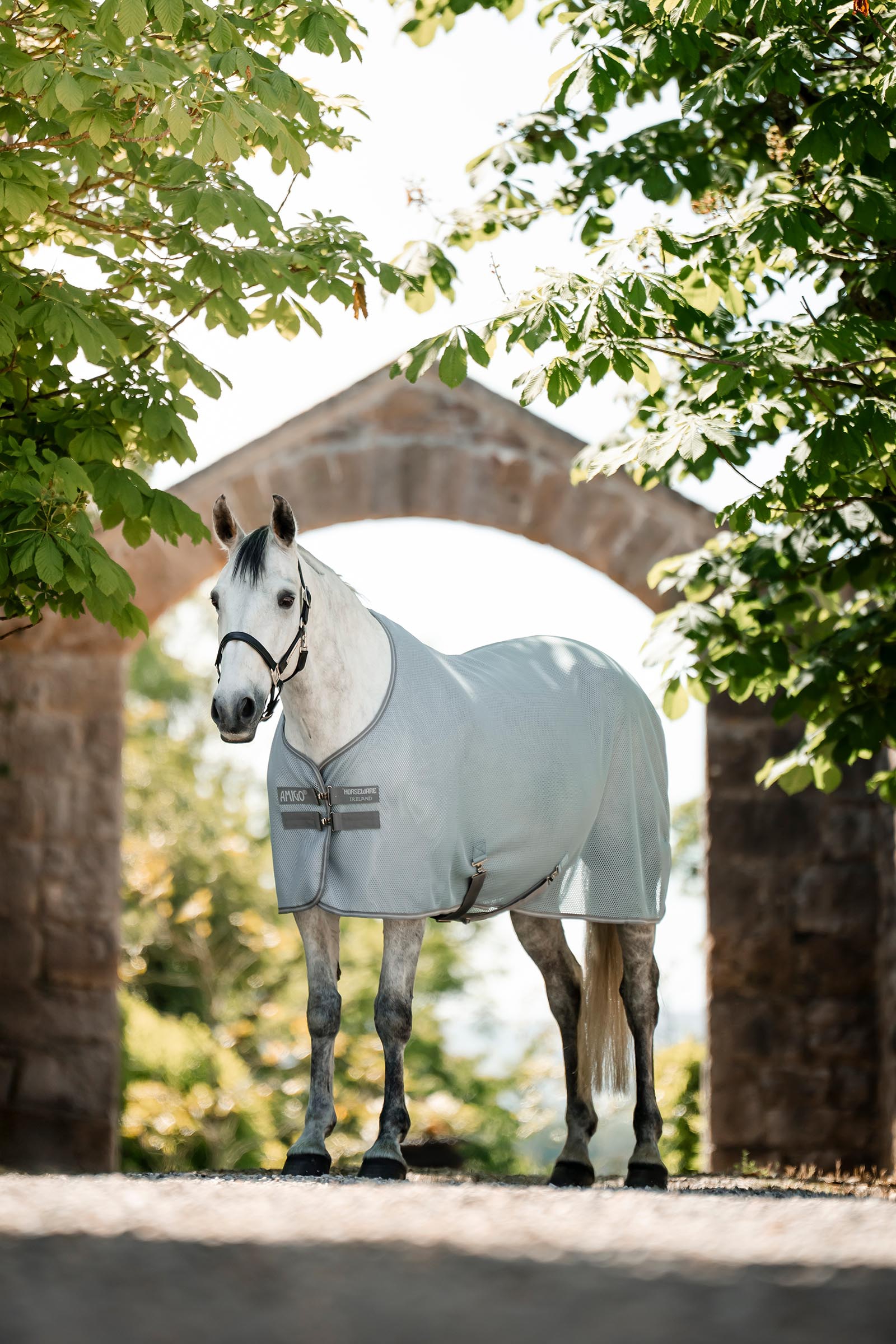 Horseware Amigo AirNet svettedekken