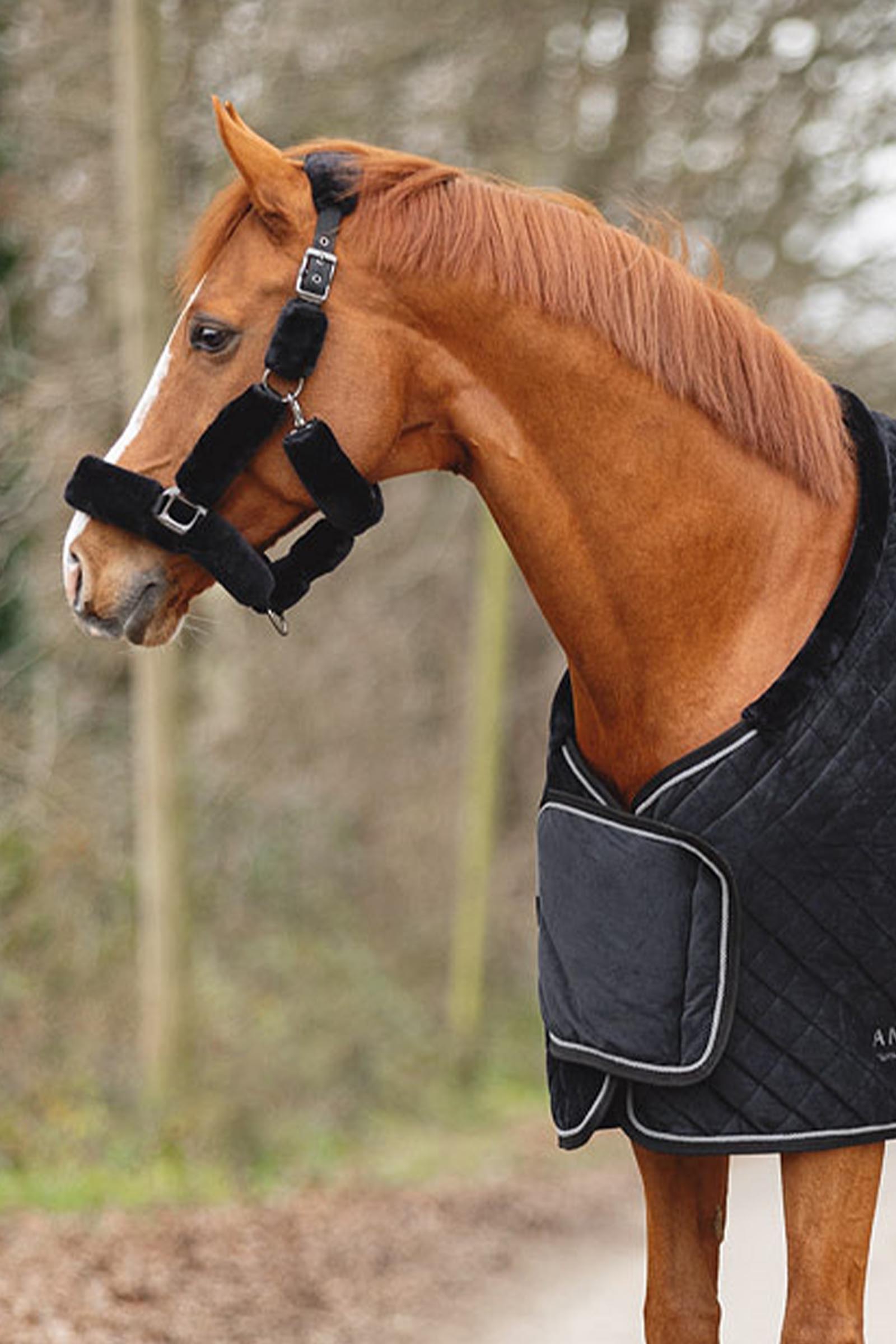 ANKY Victory Show Rug, 200 g