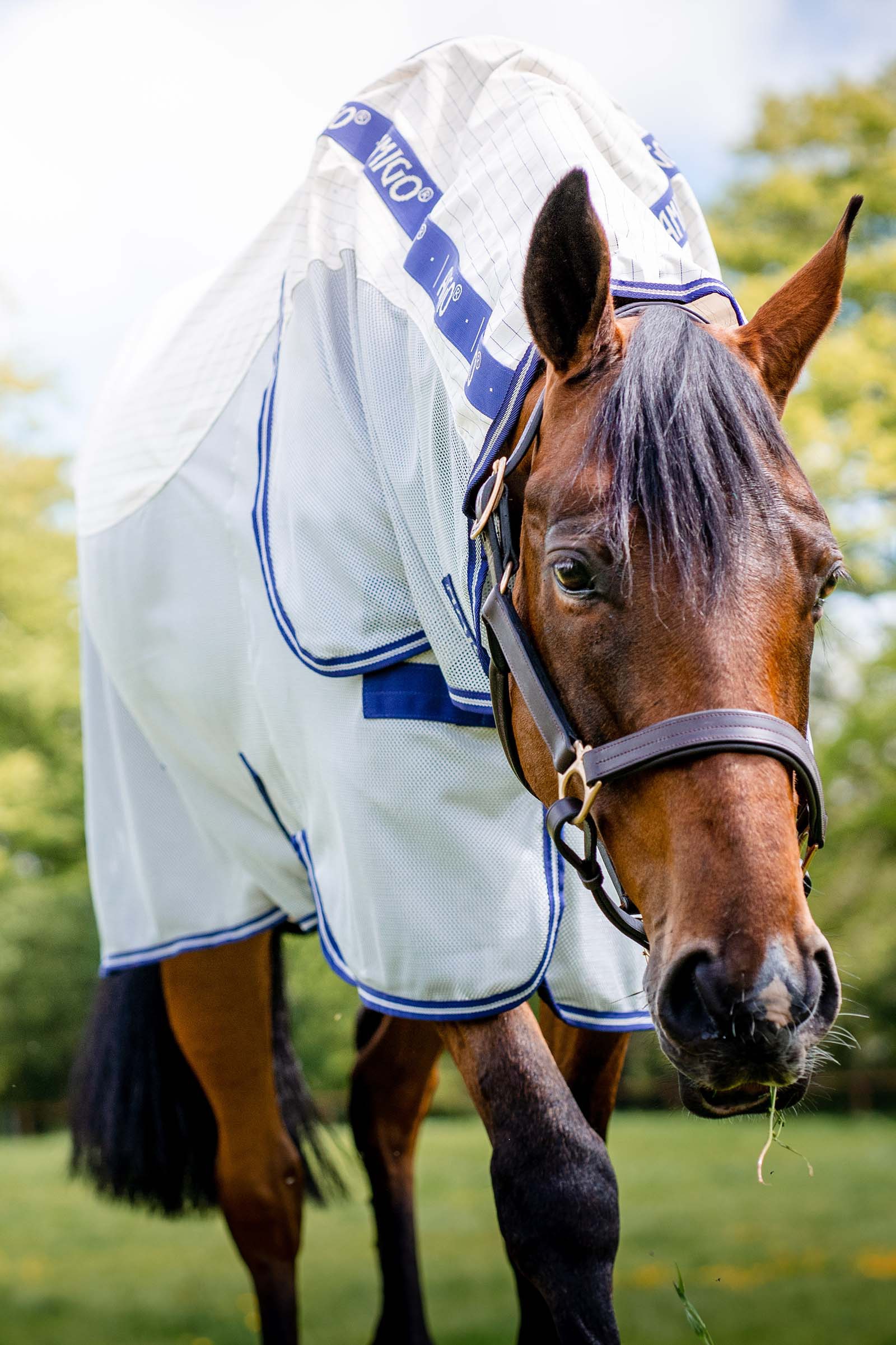 Horseware Amigo Airflow flueteppe med avtakbar nakkedel