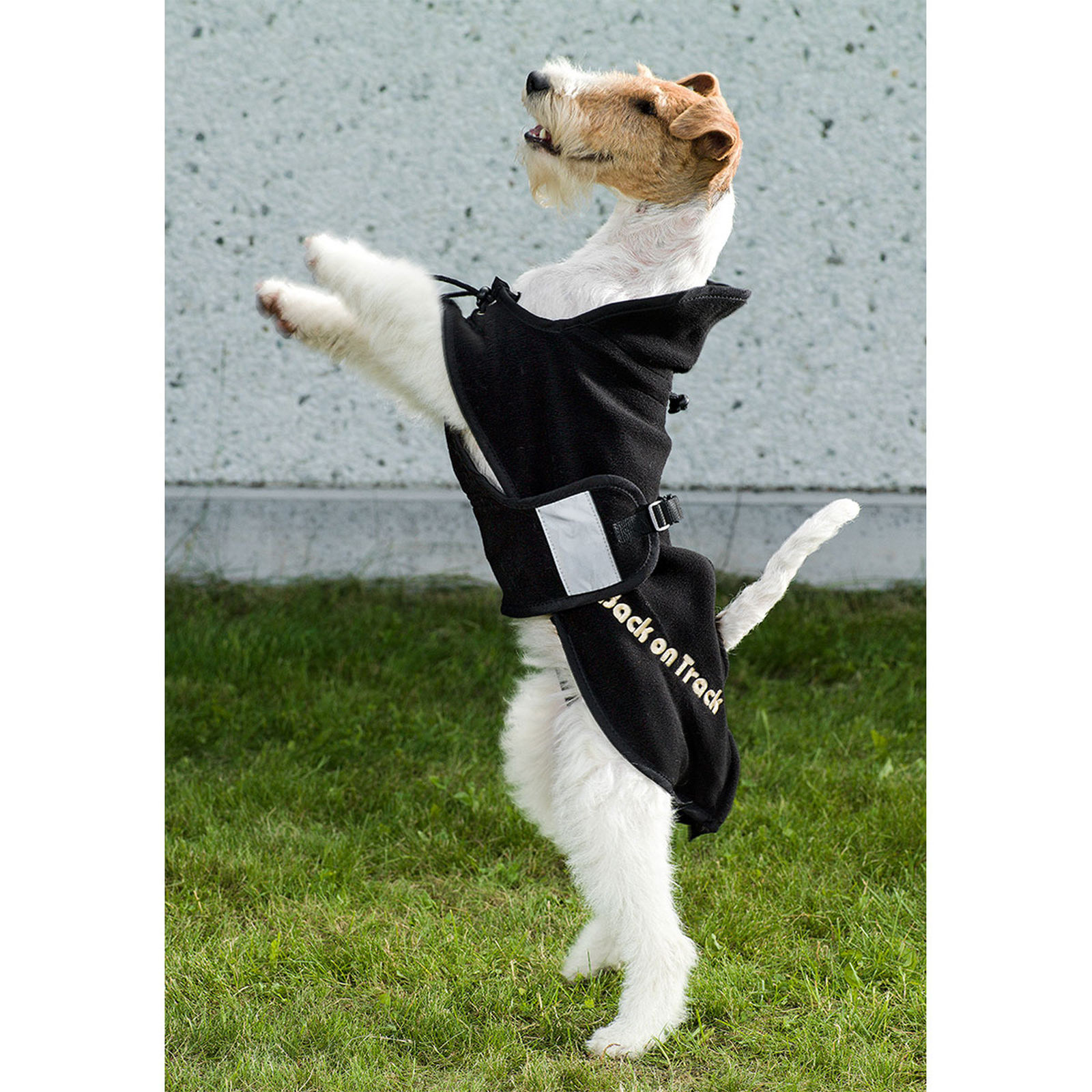 Back on Track hundedekken i fleece, 21-24