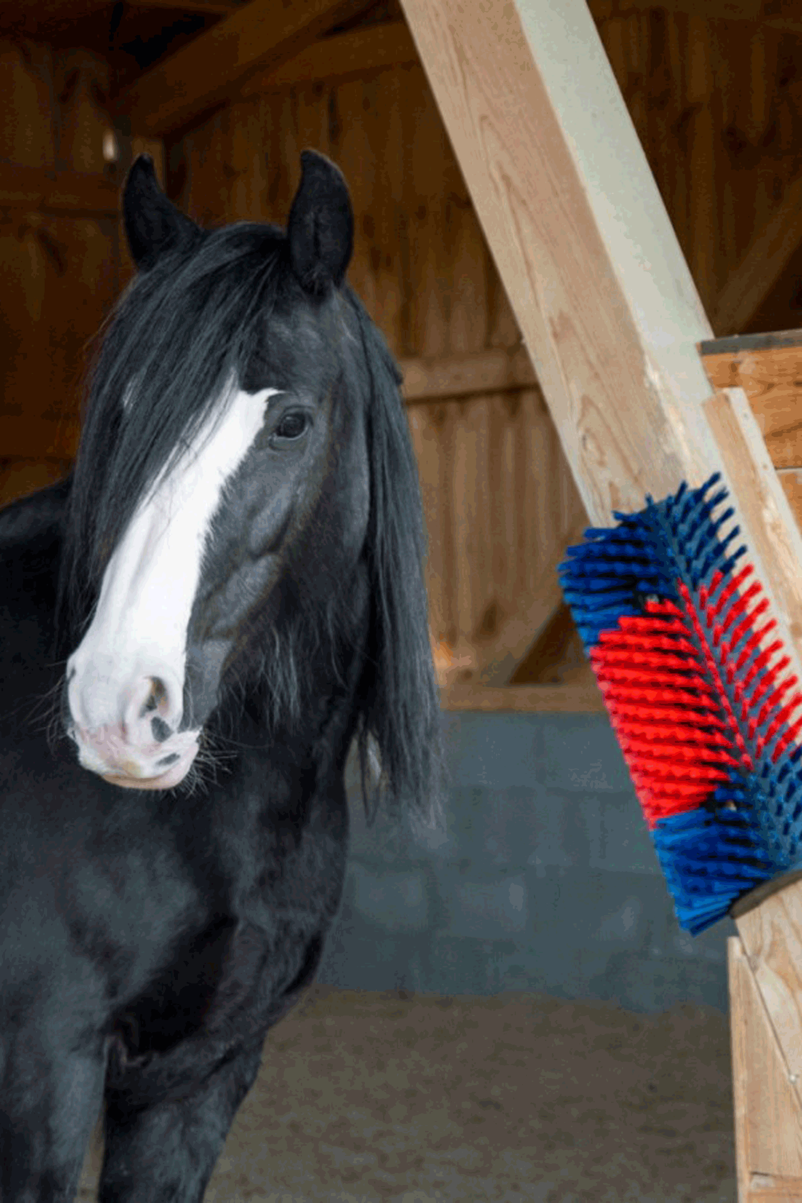 Kerbl XL kl&oslash;b&oslash;rste, rund