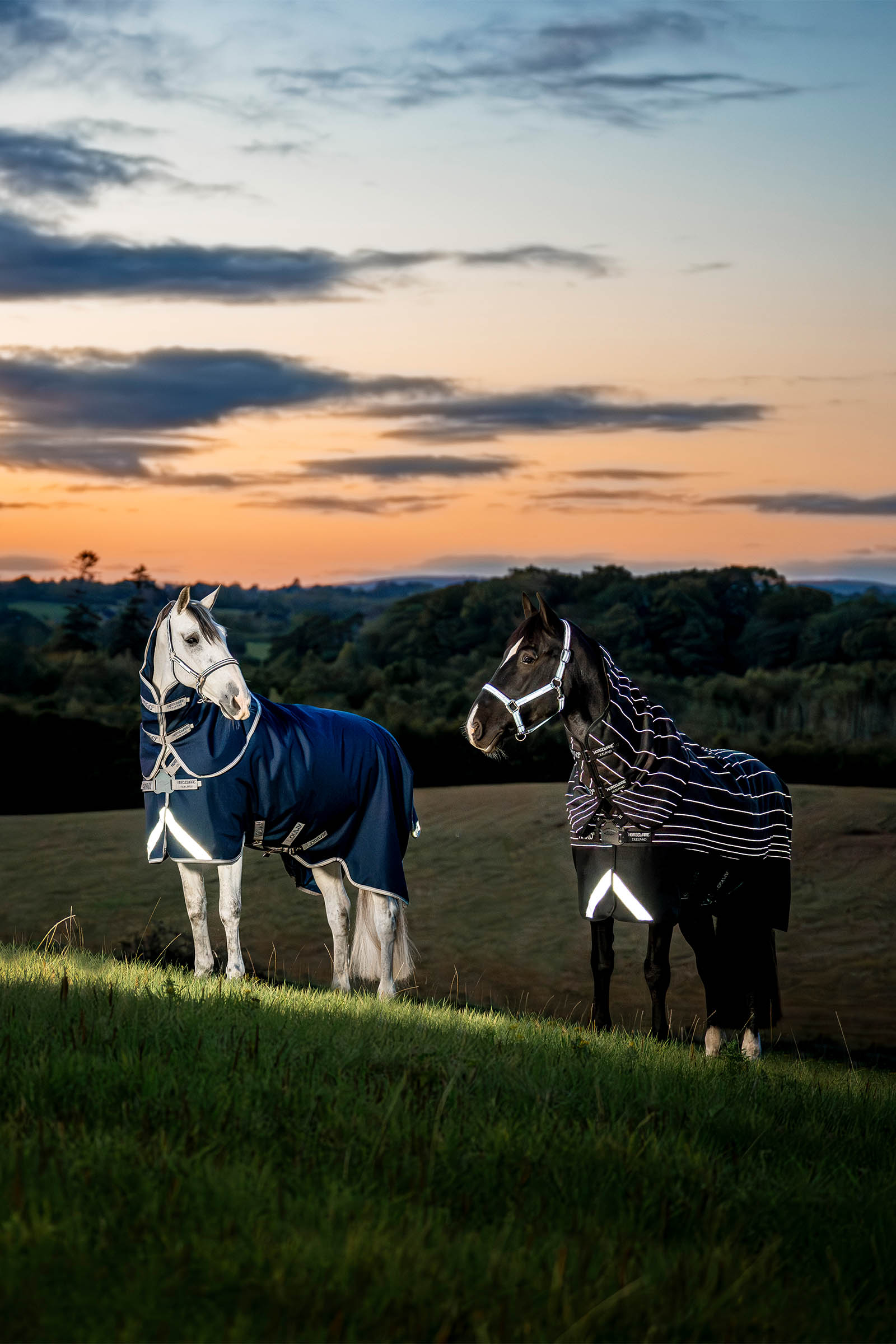 Horseware Amigo 1200D FieldSafe Plus Utedekken, 250 g