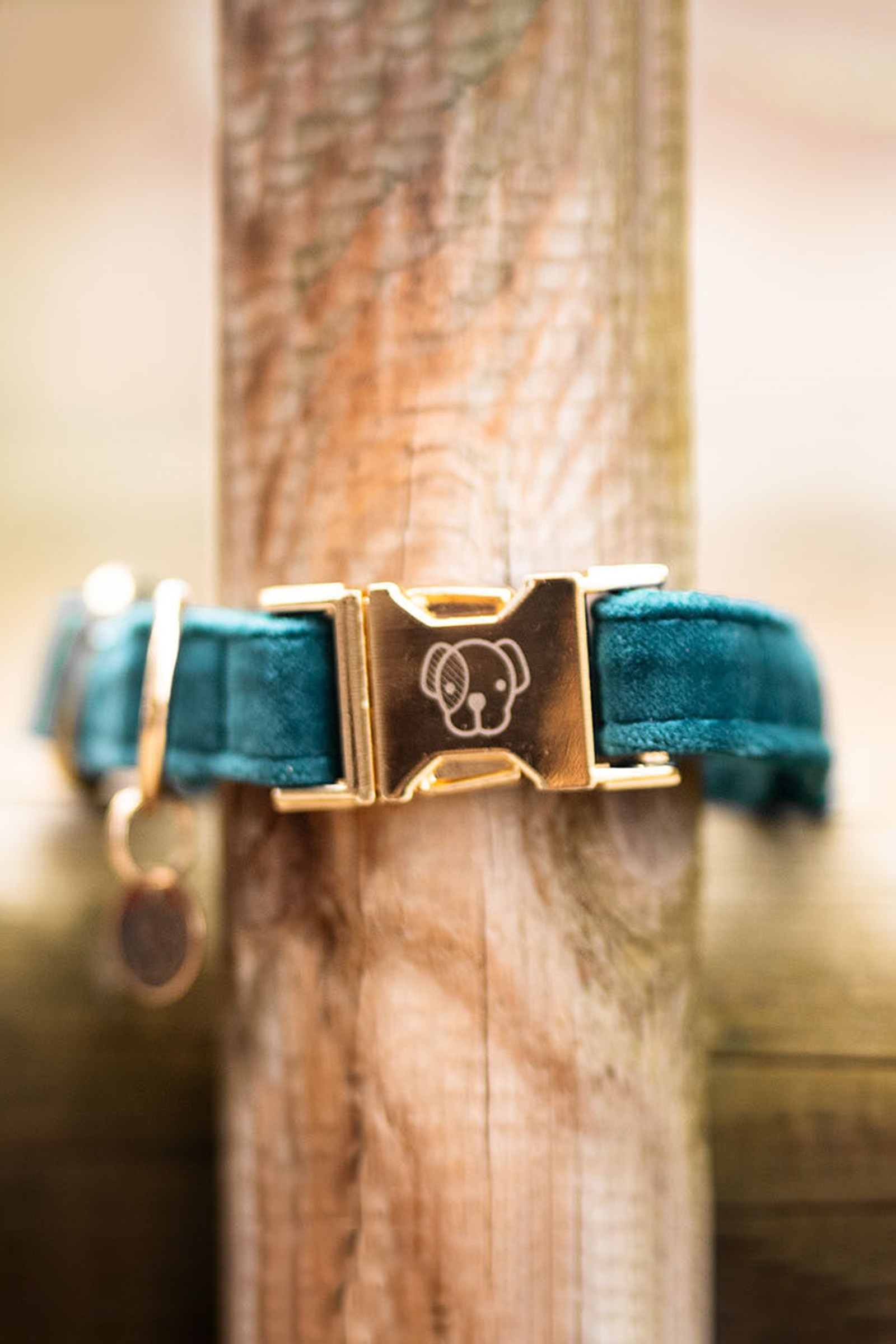 Kentucky Dogwear Velvet hundehalsb&aring;nd