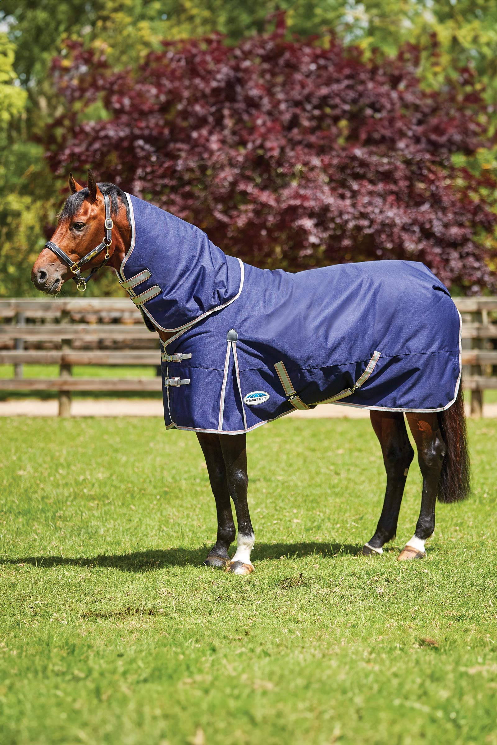 Weatherbeeta Comfitec Essential Detach-a-Neck Medium Turnout Rug, 220g