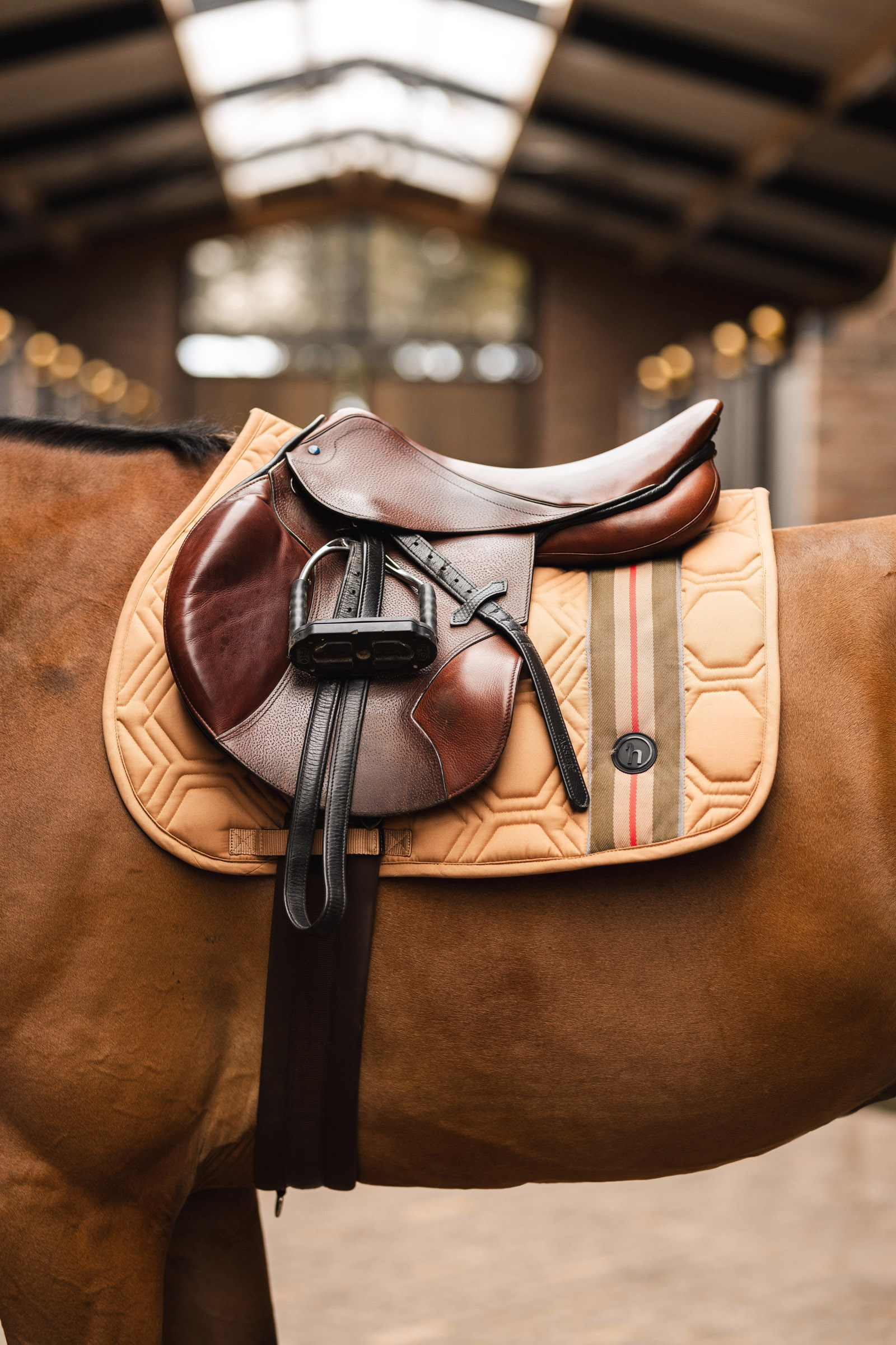 Horze High Life sprangsjabrak