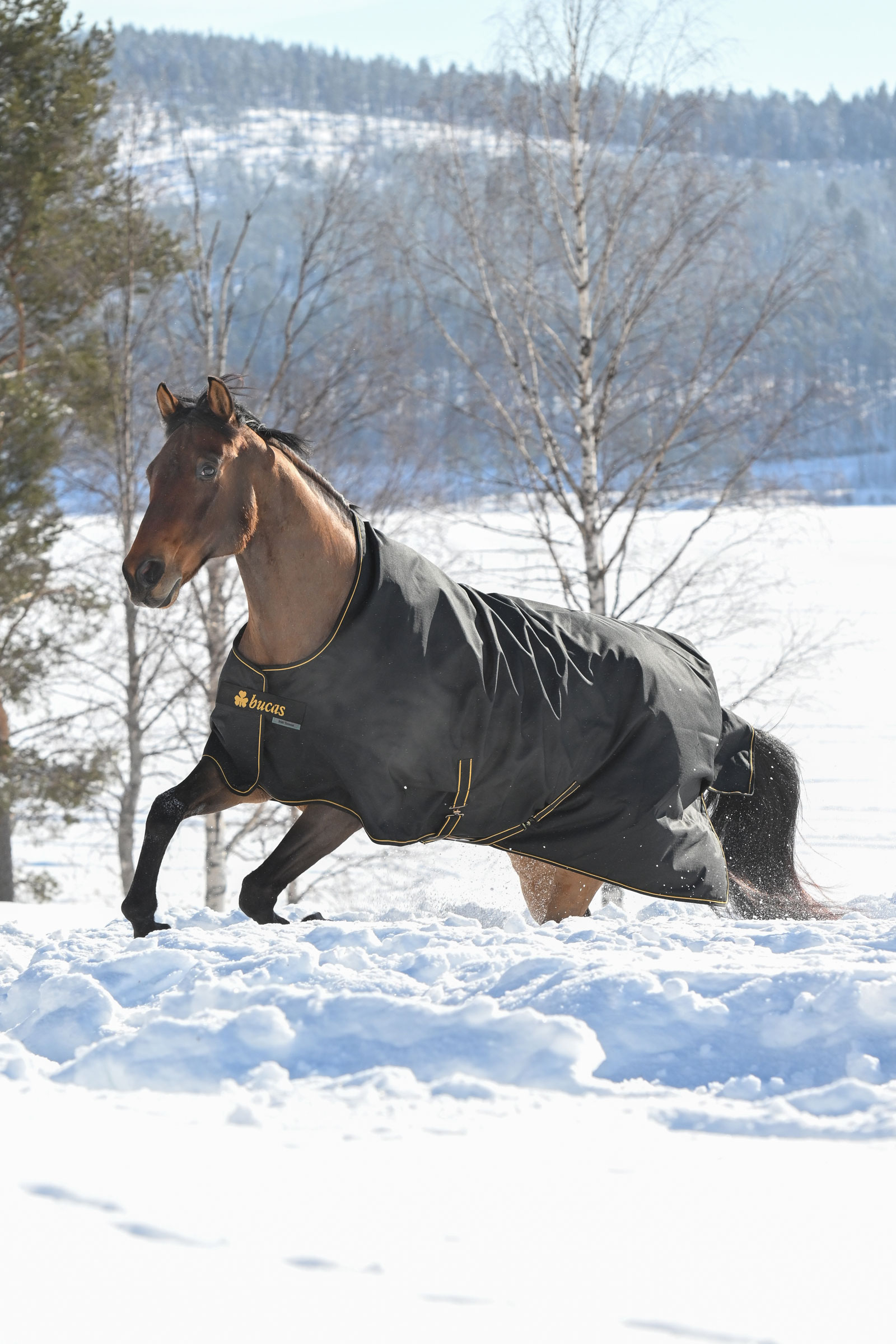 Bucas Irish utedekken, 300g