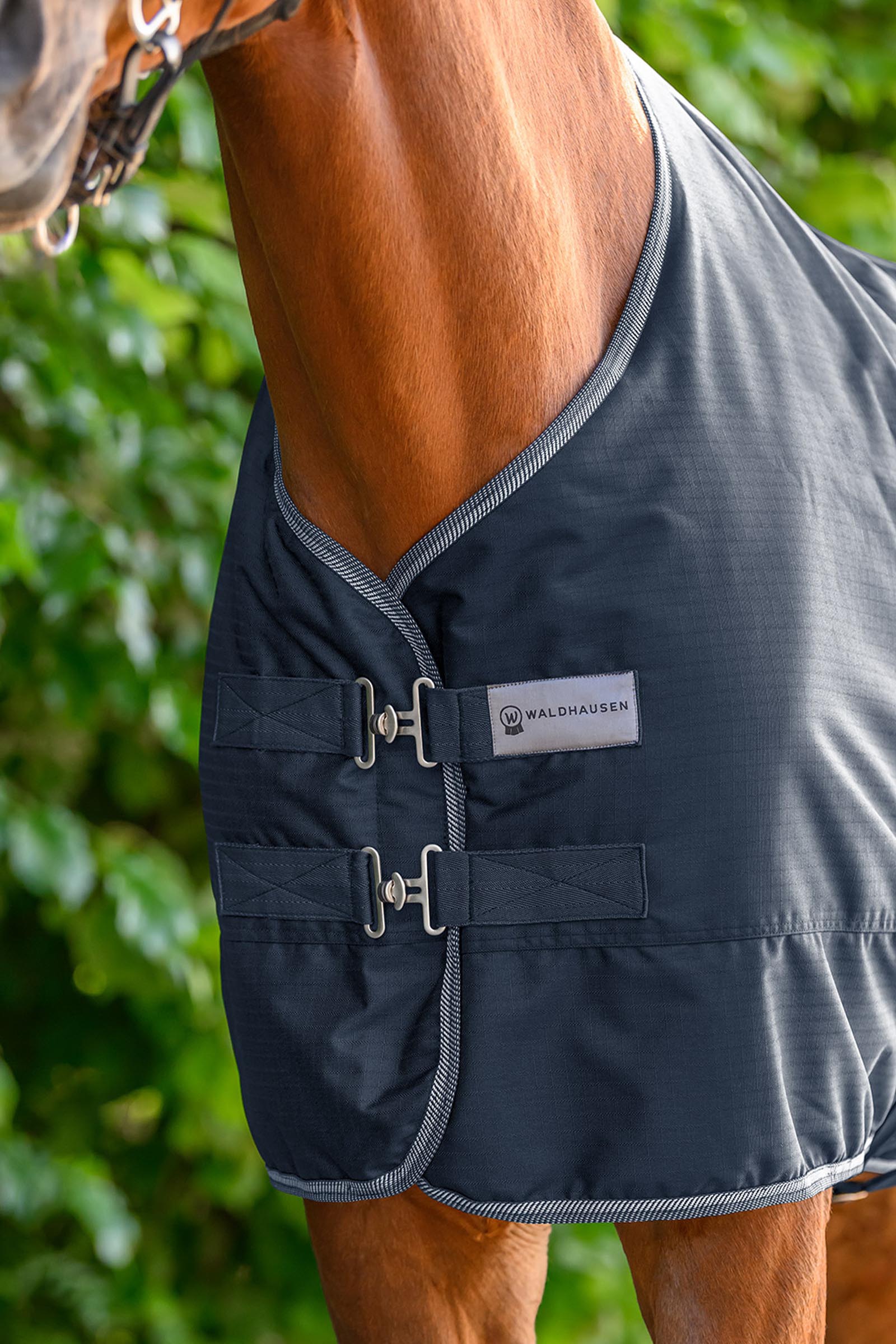 Waldhausen ECONOMIC lett utedekken