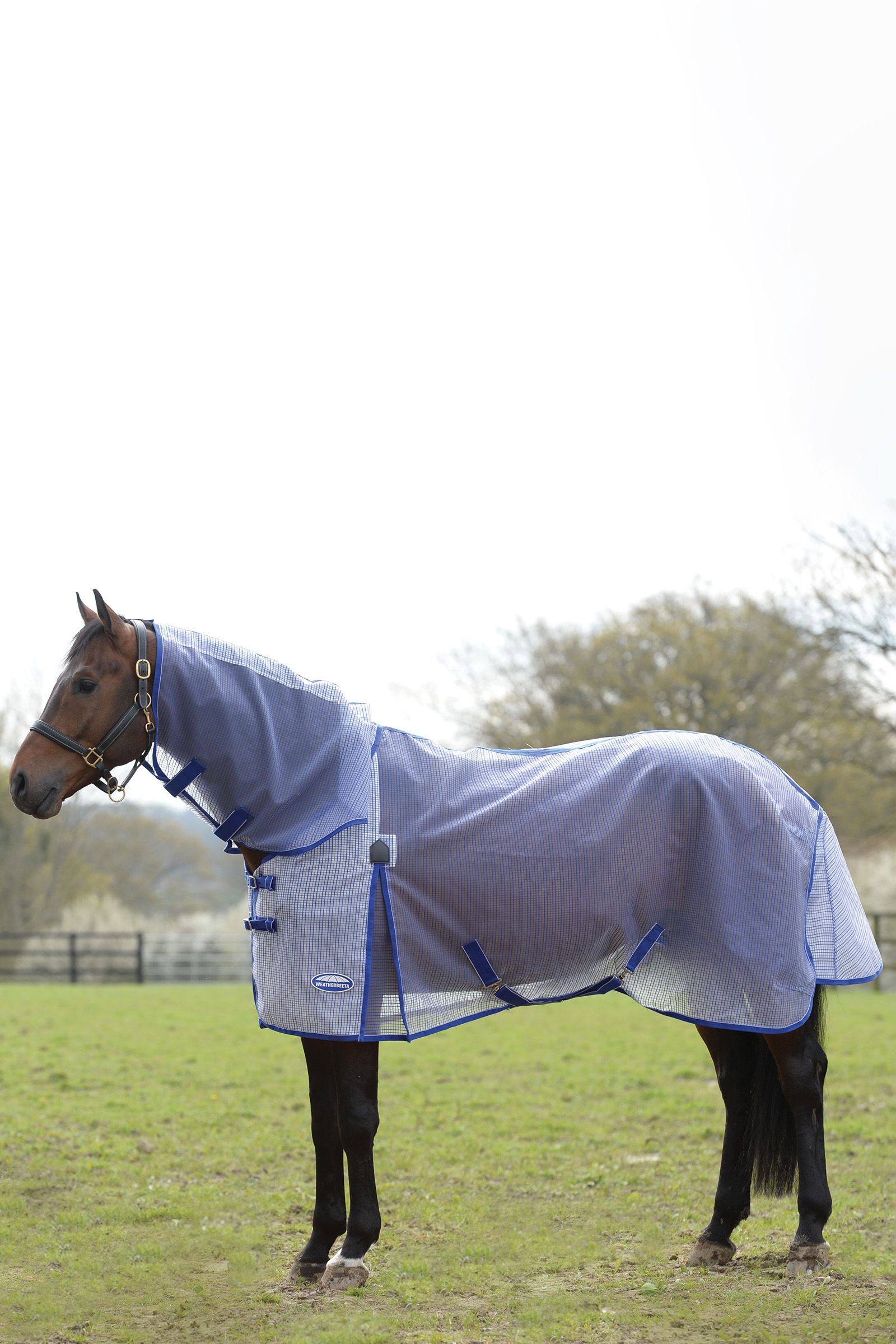 Weatherbeeta Comfitec Ripshield Plus med Ultra Belly Wrap Combo Neck