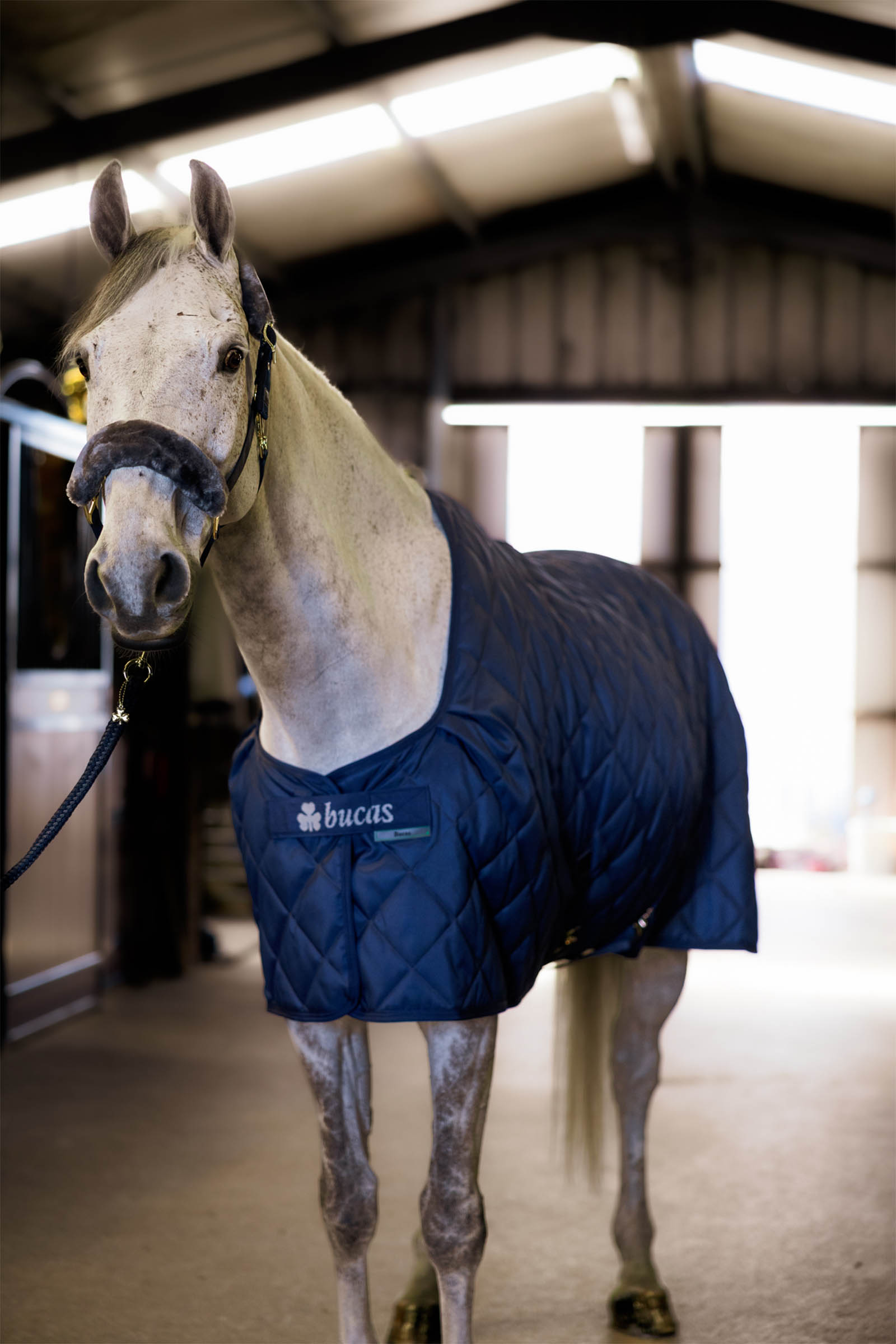 Bucas koselig stalldekken