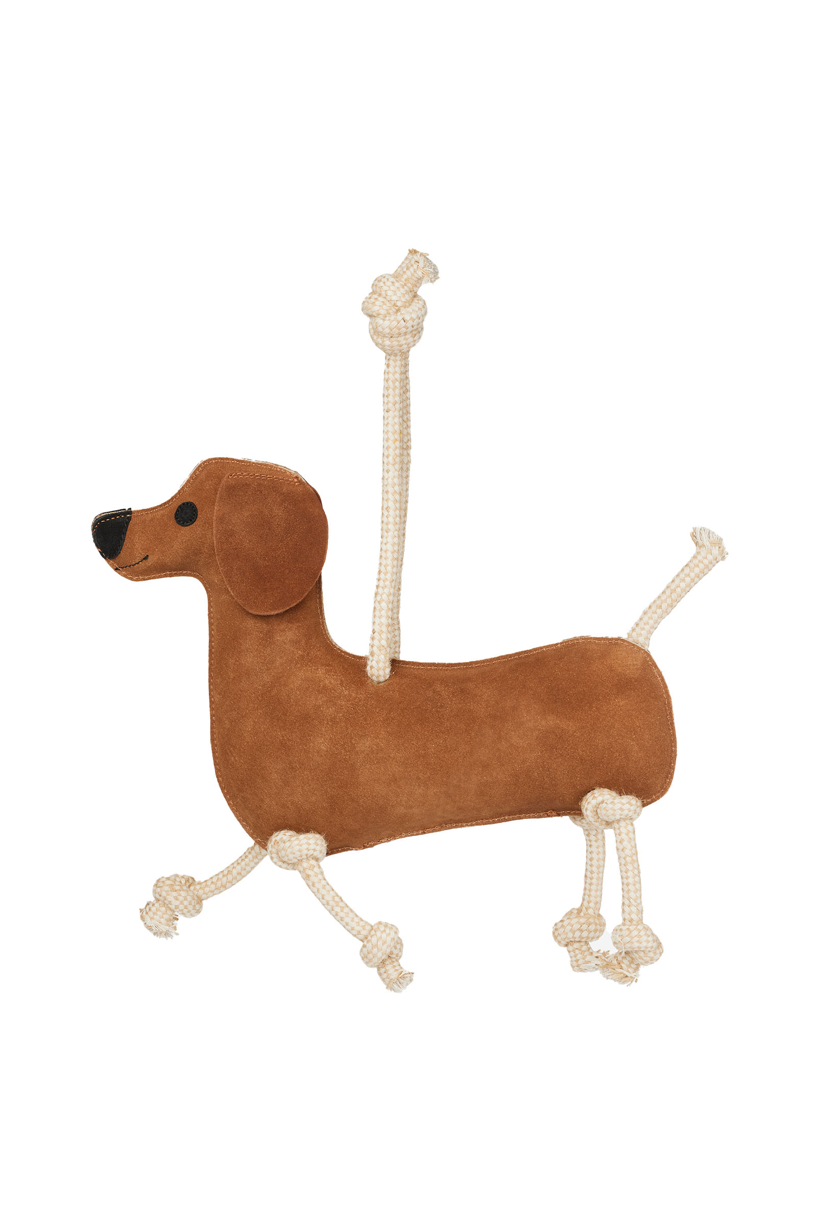 LeMieux hesteleke dachshund