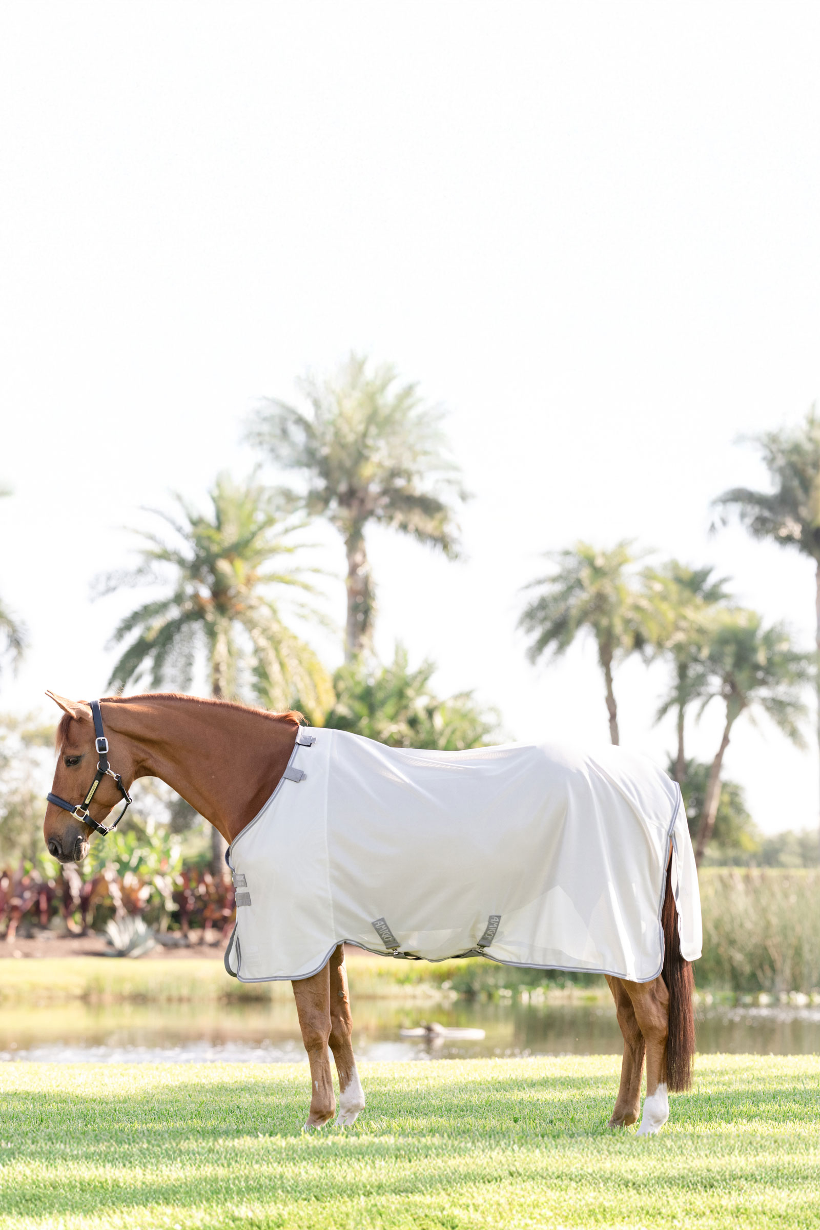 Horseware Amigo fluedekken med UV-beskyttelse