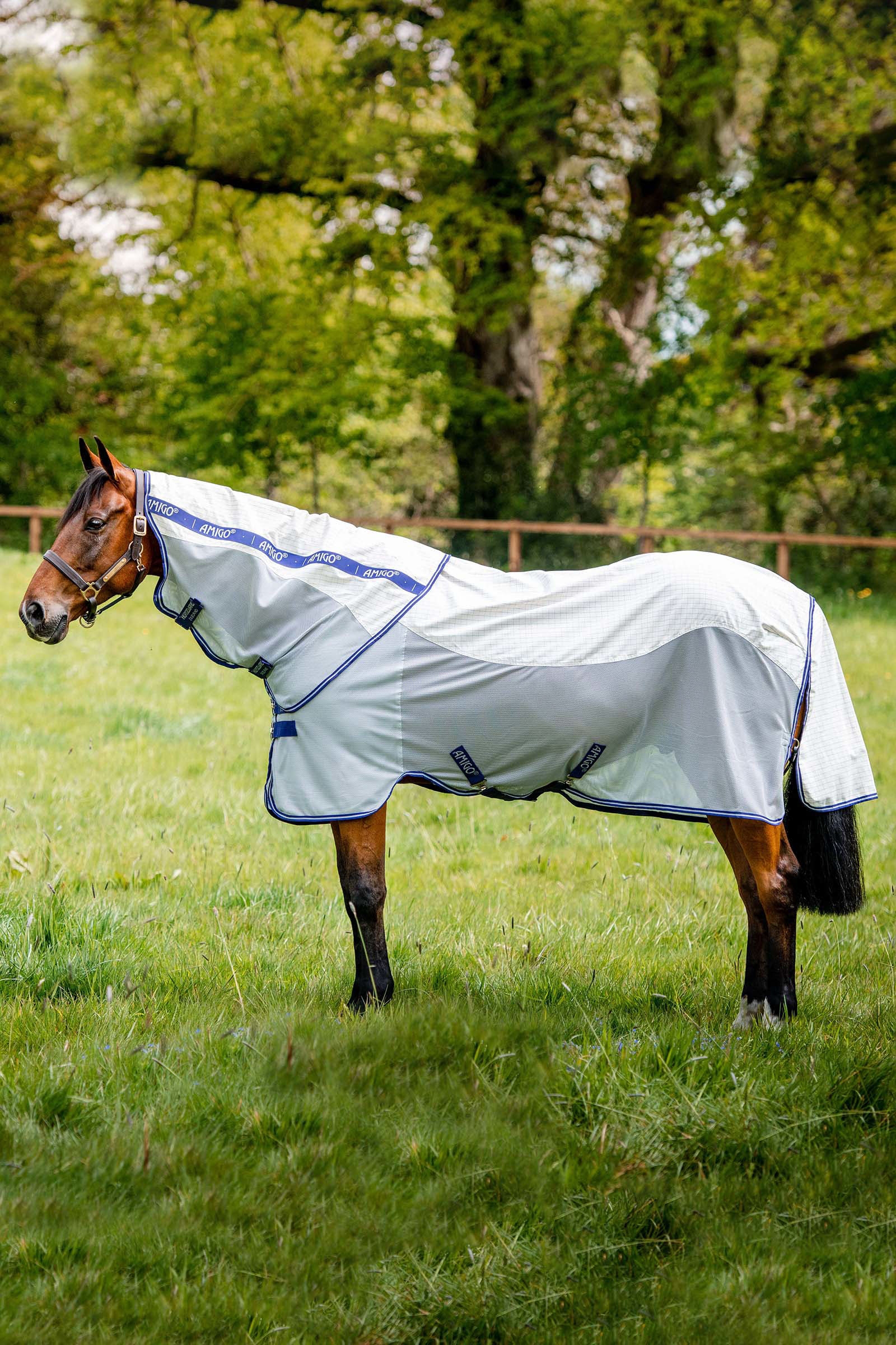 Horseware Amigo Airflow flueteppe med avtakbar nakkedel