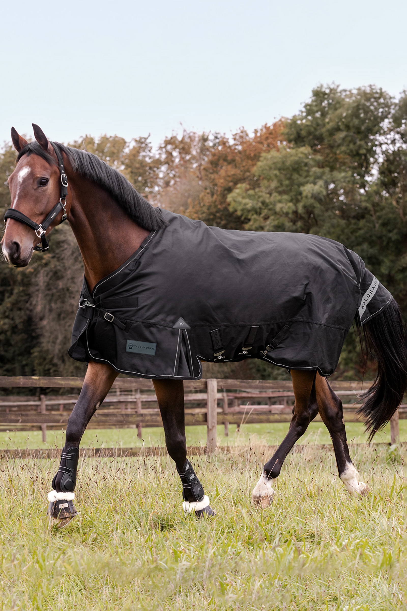 Waldhausen utend&oslash;rsteppe Scandic flerlag 250 g/100 g