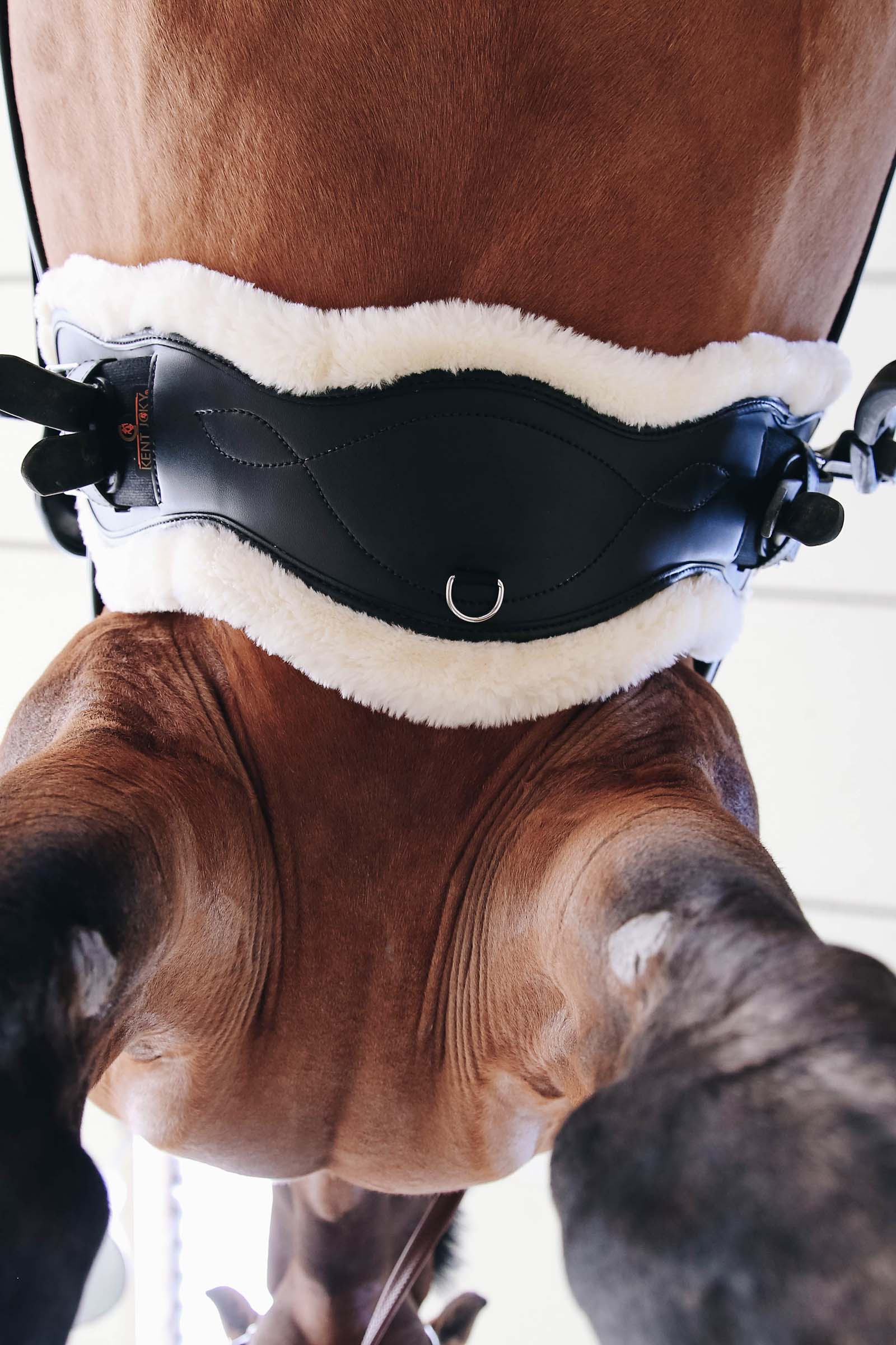 Kentucky Horsewear anatomisk gjordovertrekk i saueskinn til kort gjord