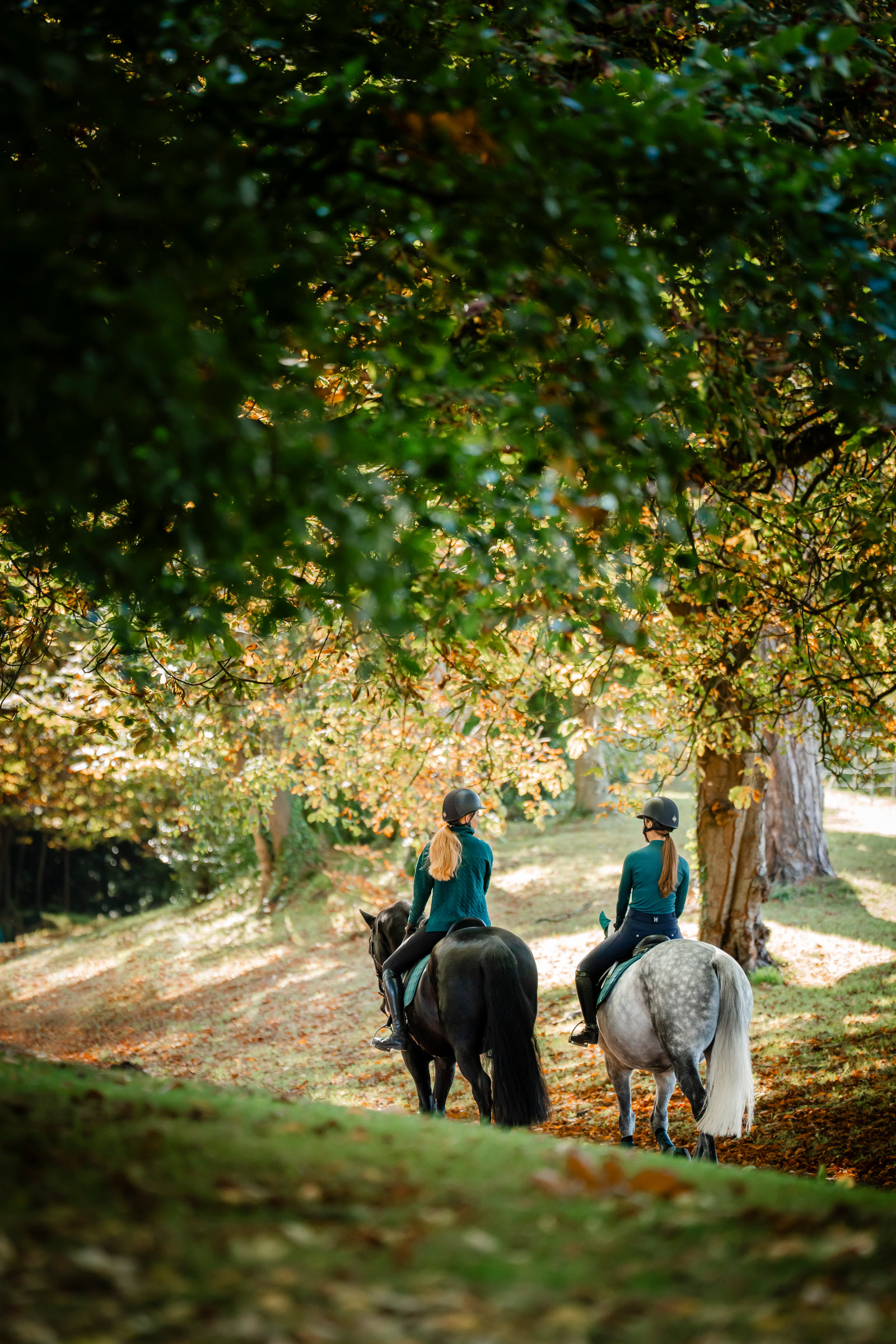 Horseware Strive Winter 1/4 zip topp for kvinner