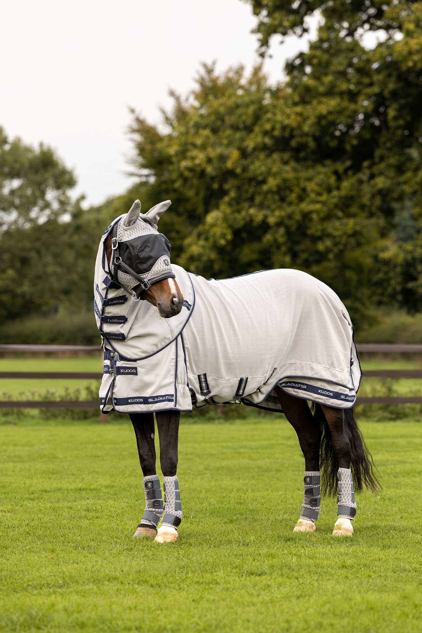 LeMieux Kudos Gladiator fluedekken