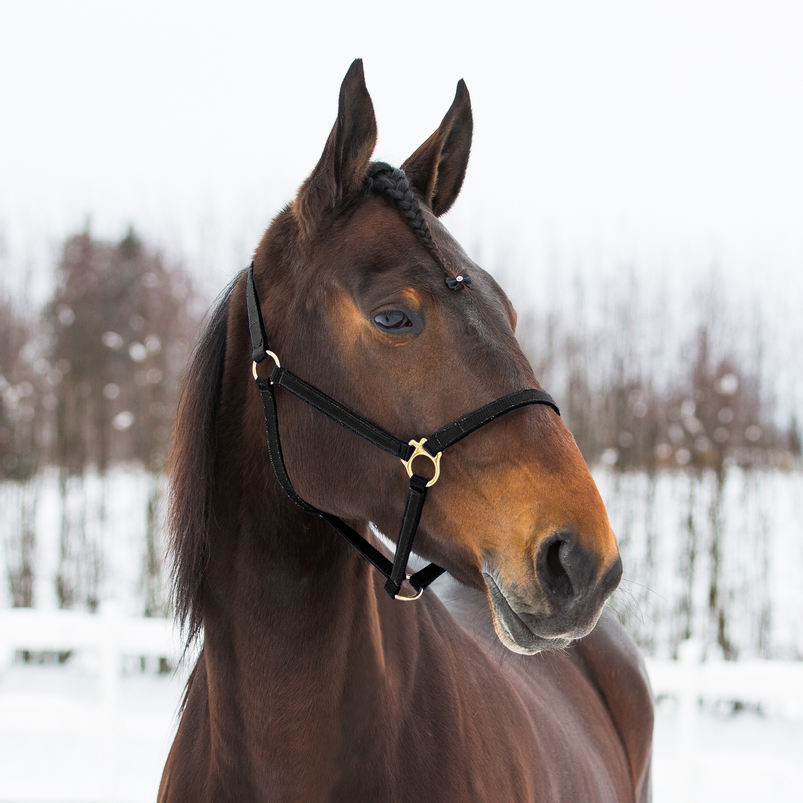 Black Finntack Pro syntetisk Yankee nylongrime