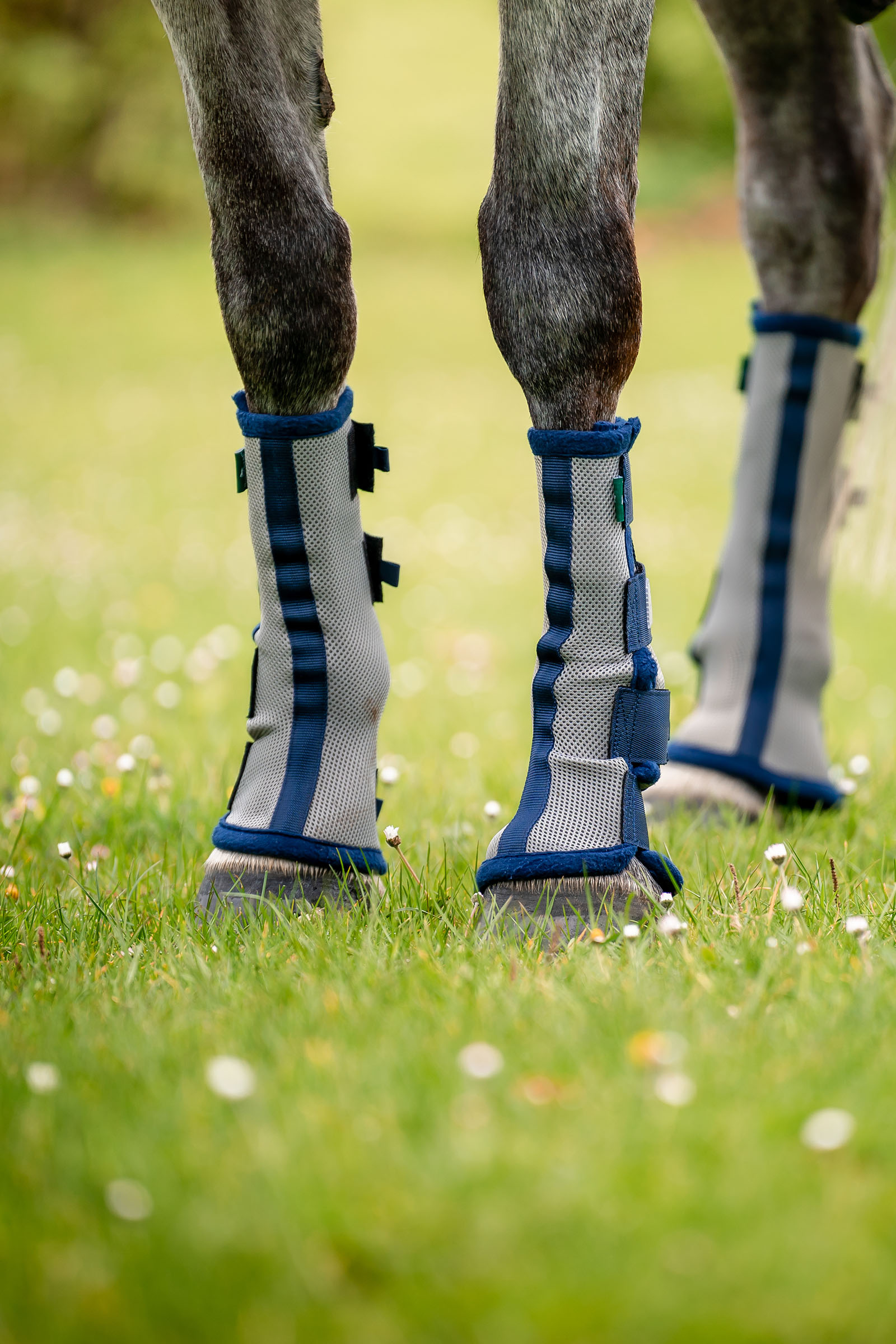 Horseware Fly Boots - sett med 2