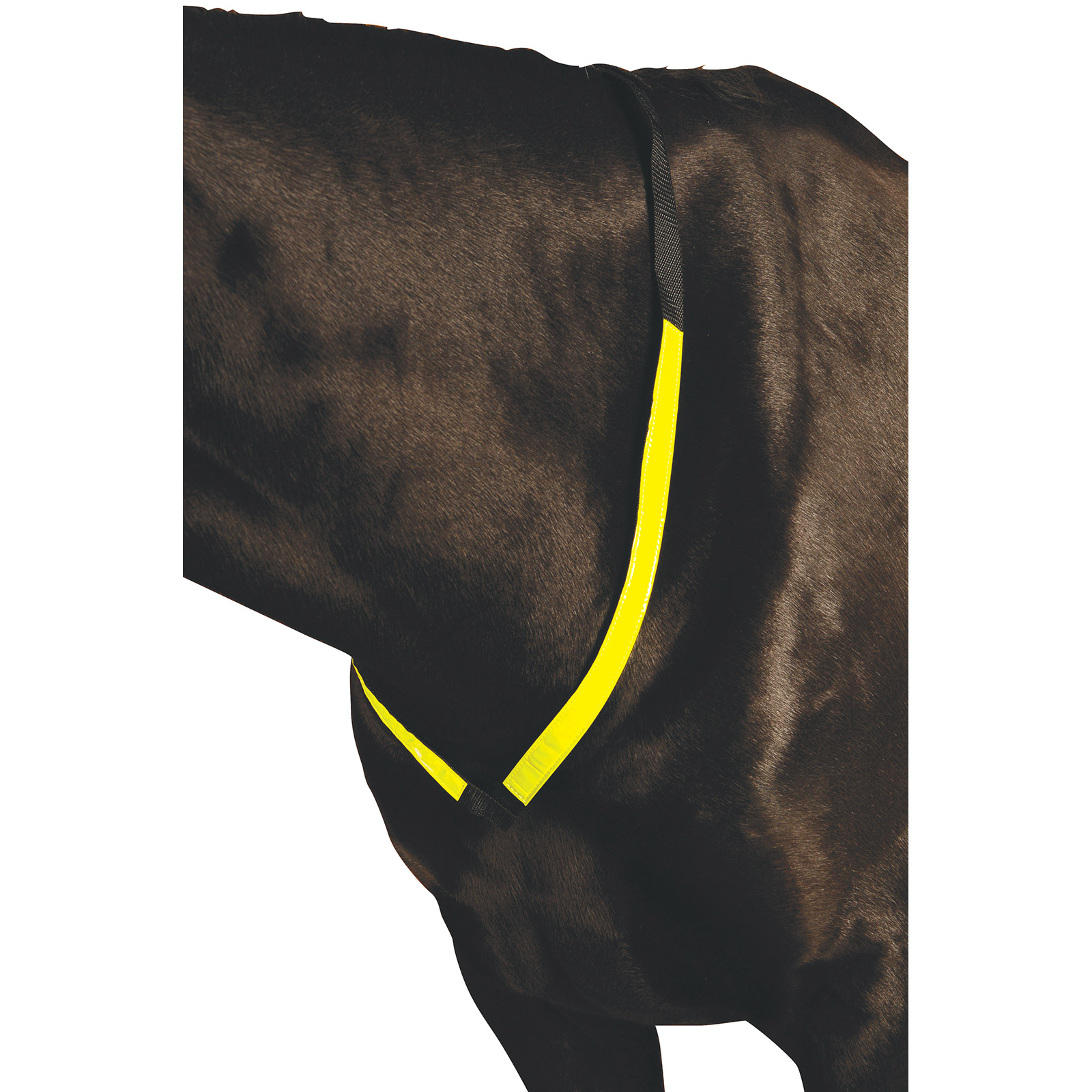 Roma reflekterende fortøy