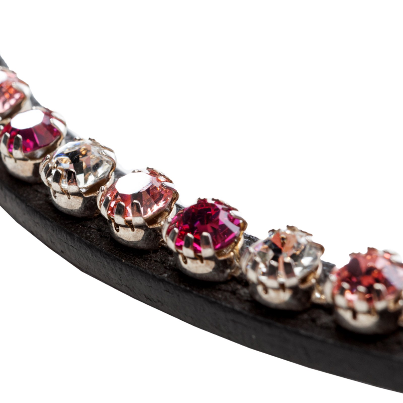 Kavalkade Splendid panneb&aring;nd