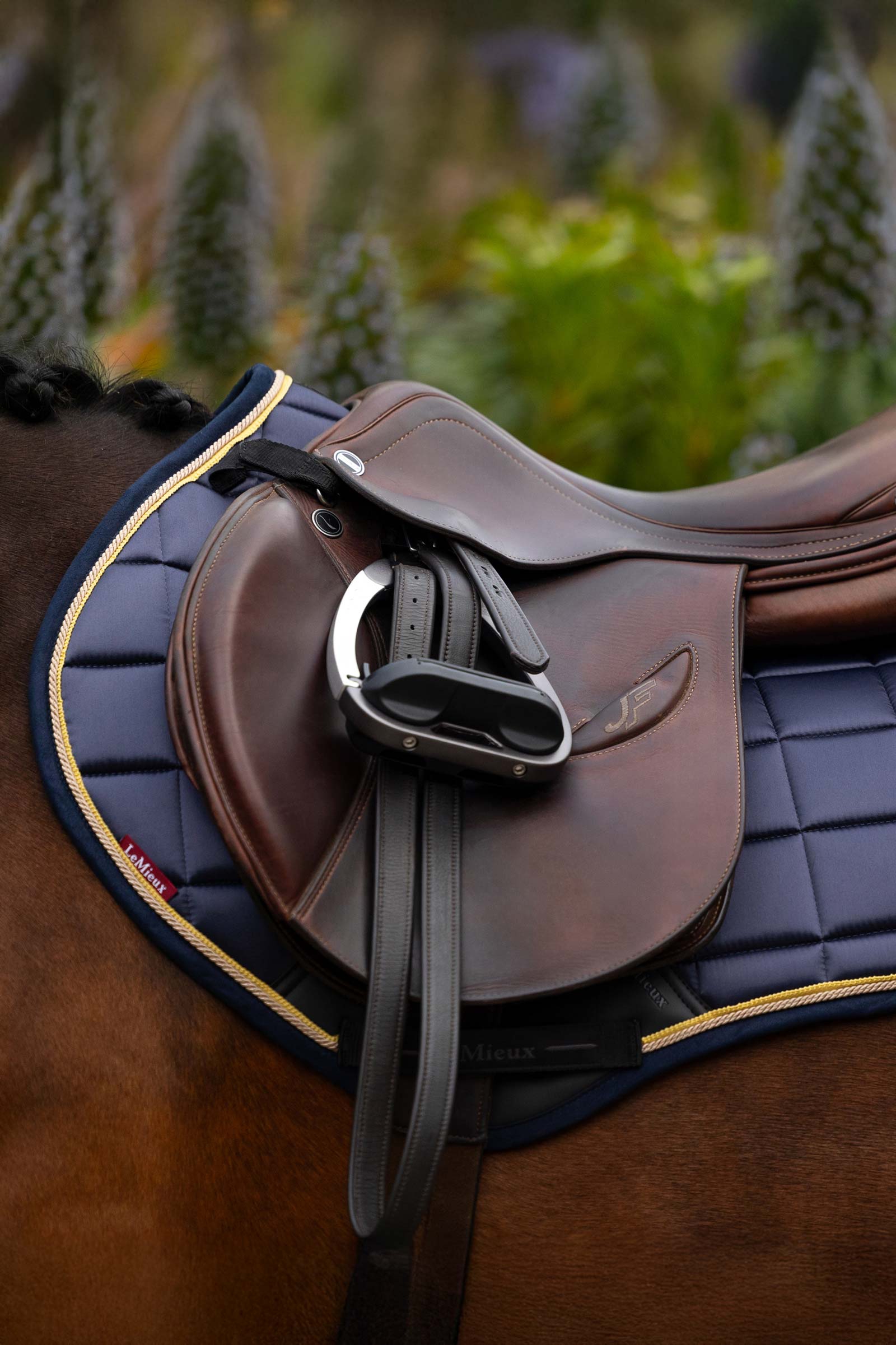 LeMieux Loire Square CC Sprangsjabrak