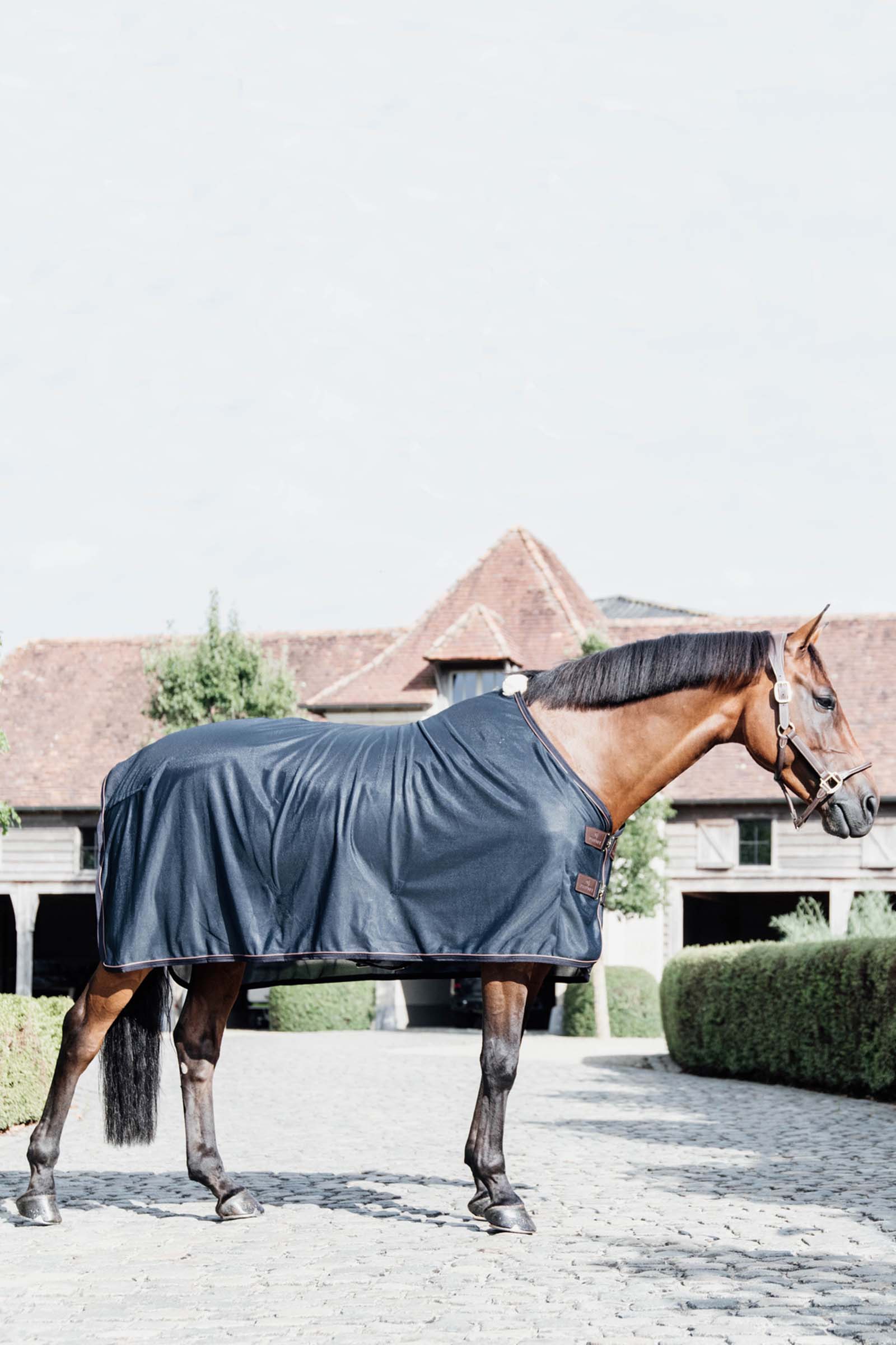 Kentucky Horsewear flueteppe i mesh