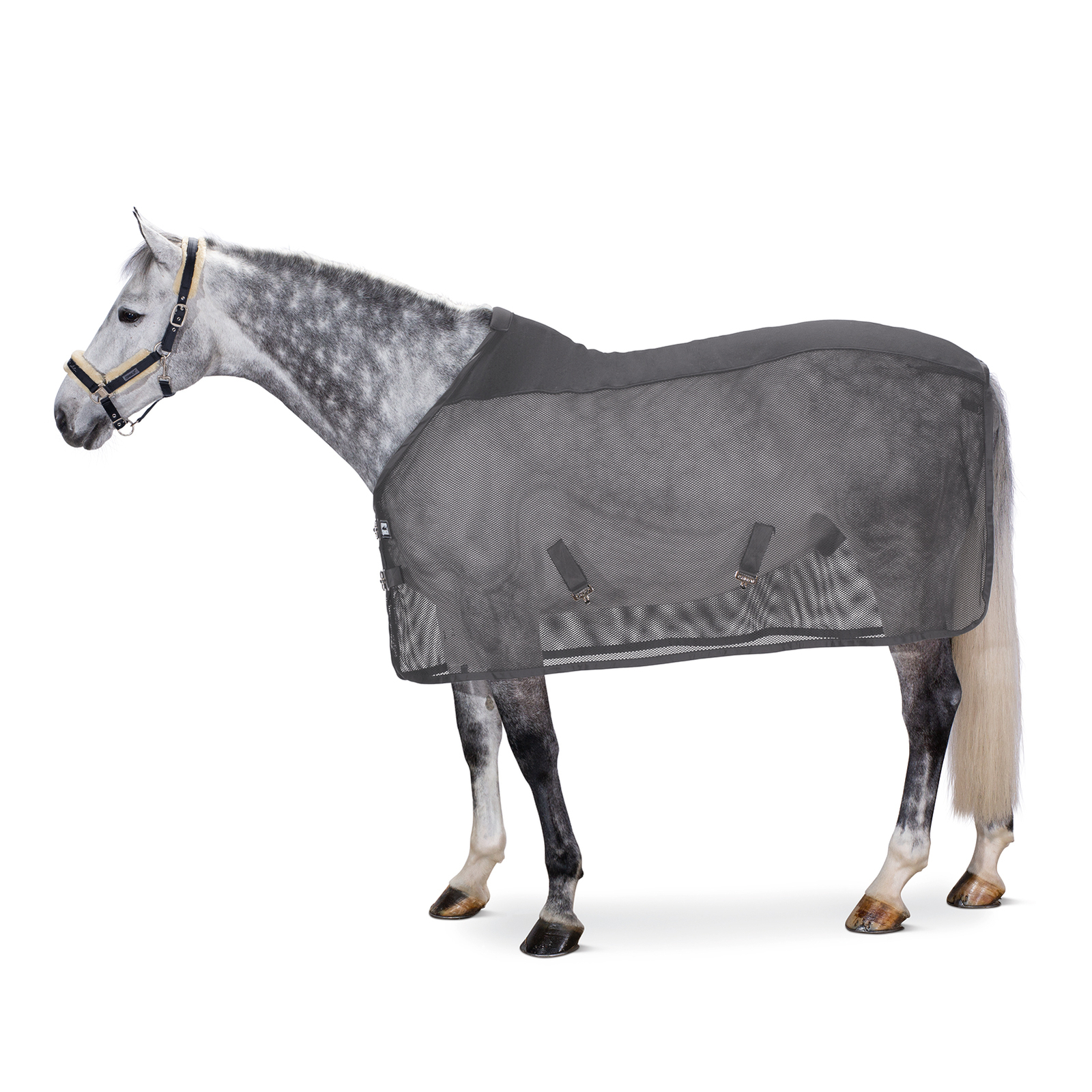 Eskadron Pro Cover Dura fluedekken